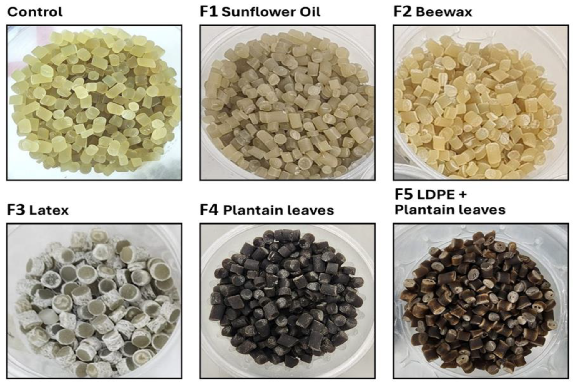 Preprints 194730 g001