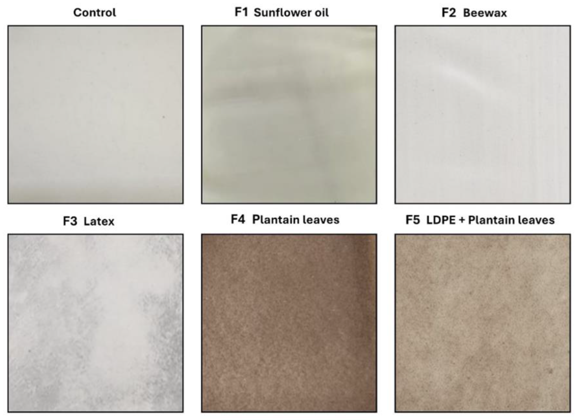 Preprints 194730 g002