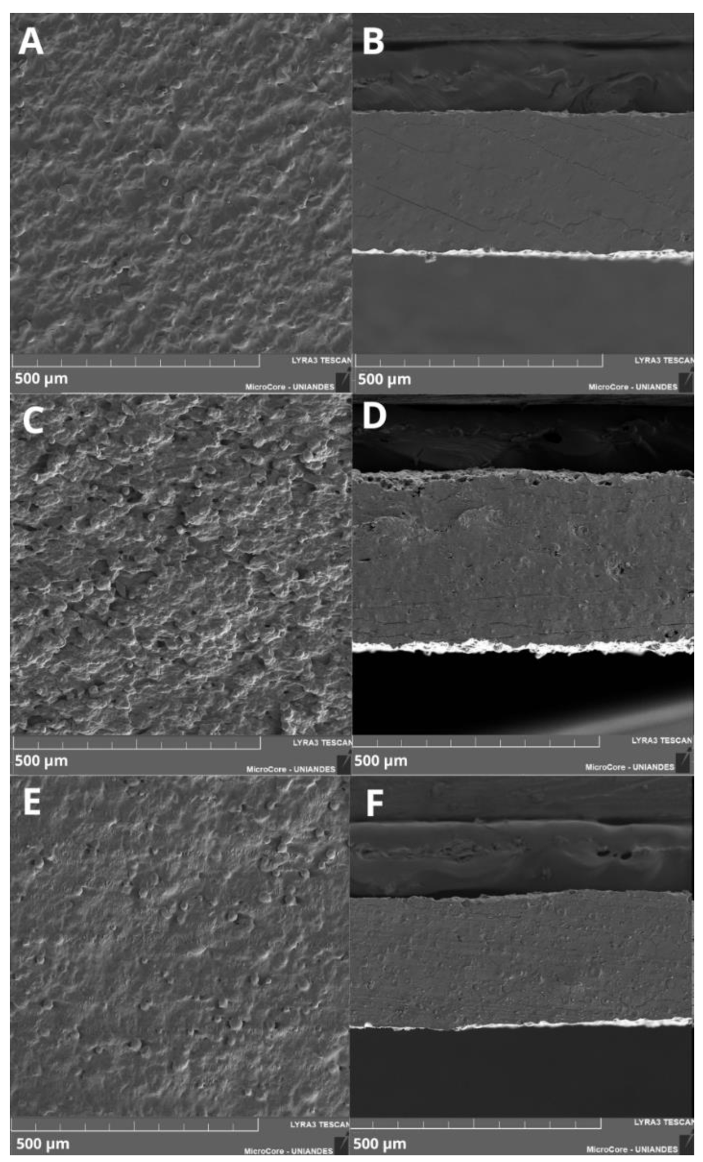 Preprints 194730 g005