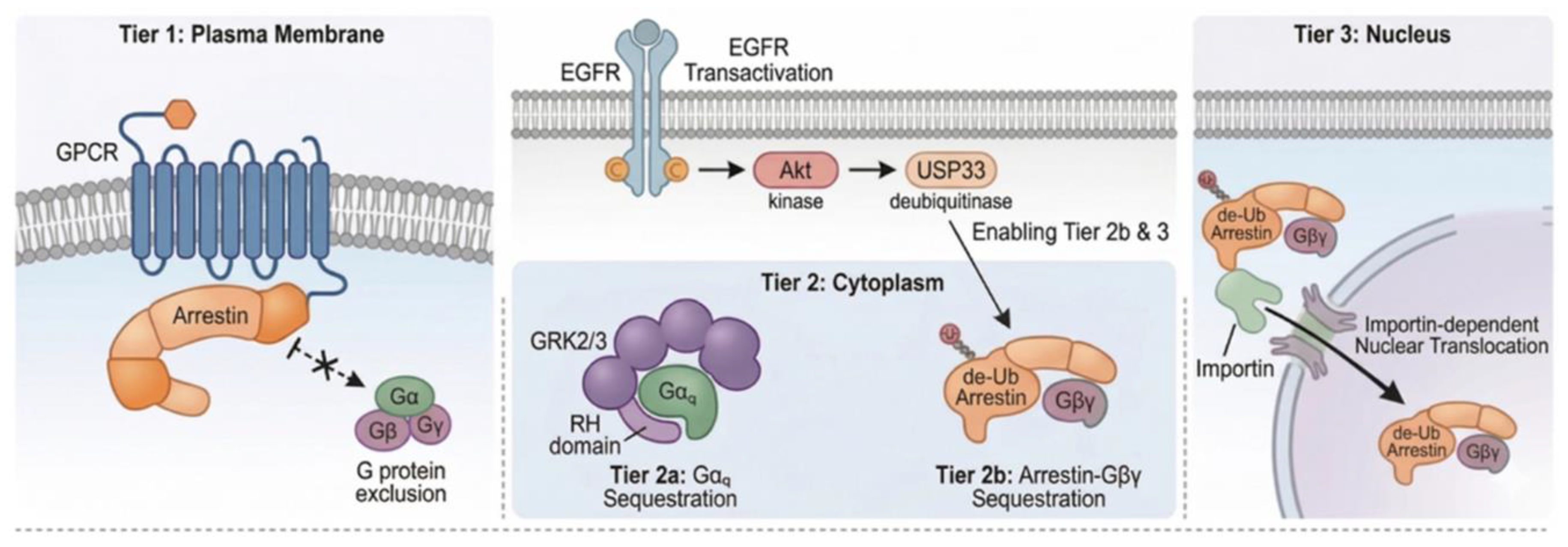 Preprints 207359 g005