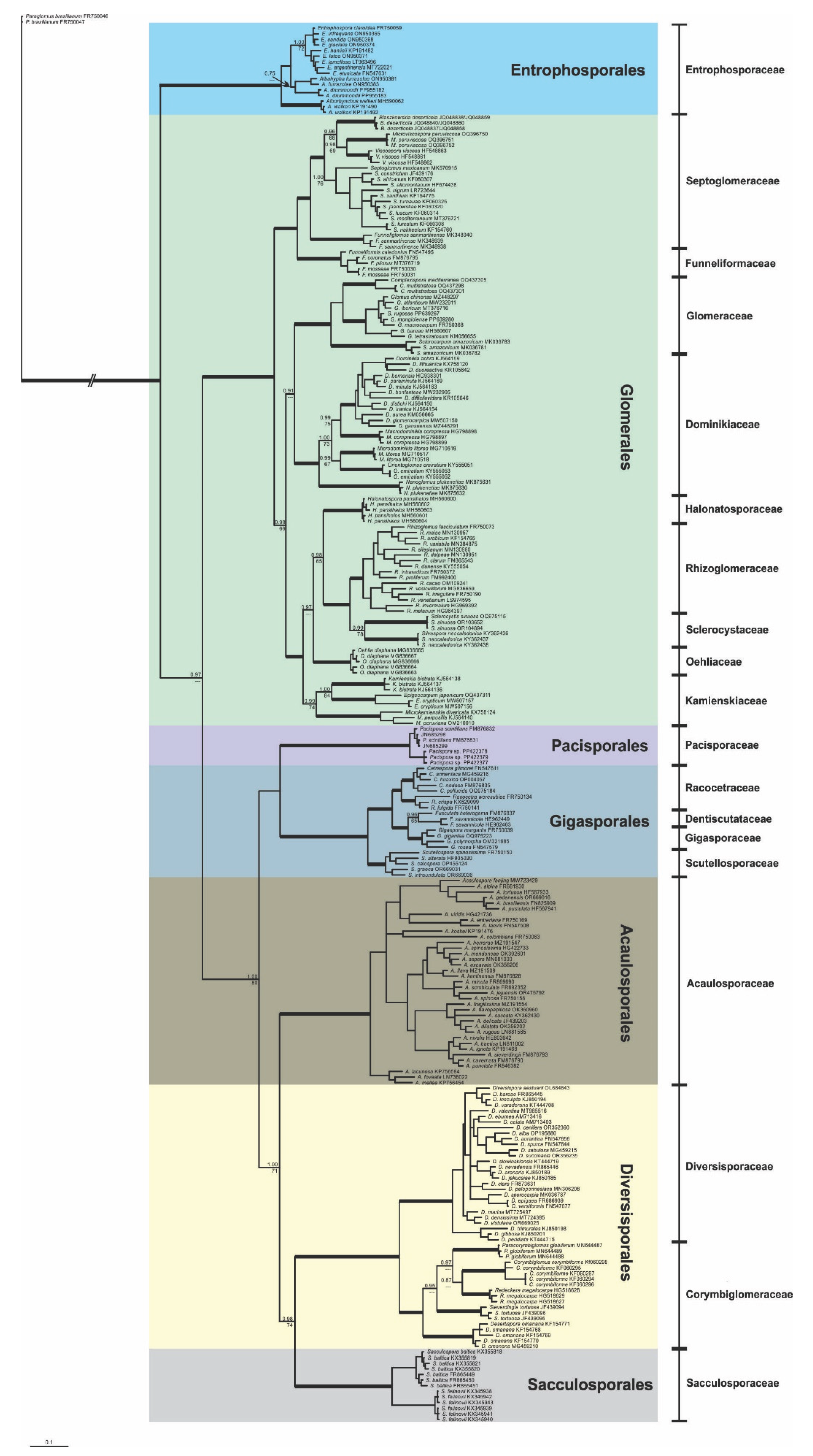 Preprints 170513 g001