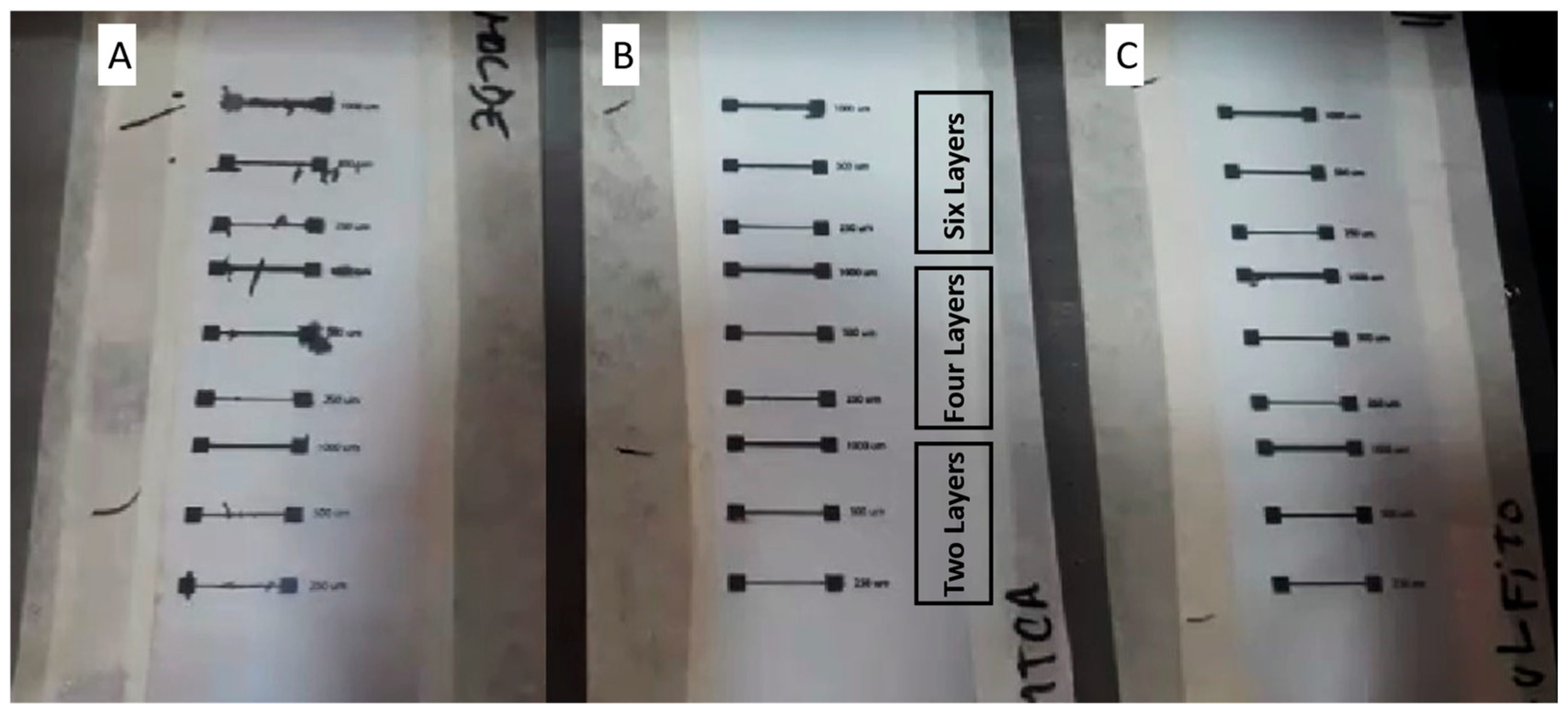 Preprints 157257 g002