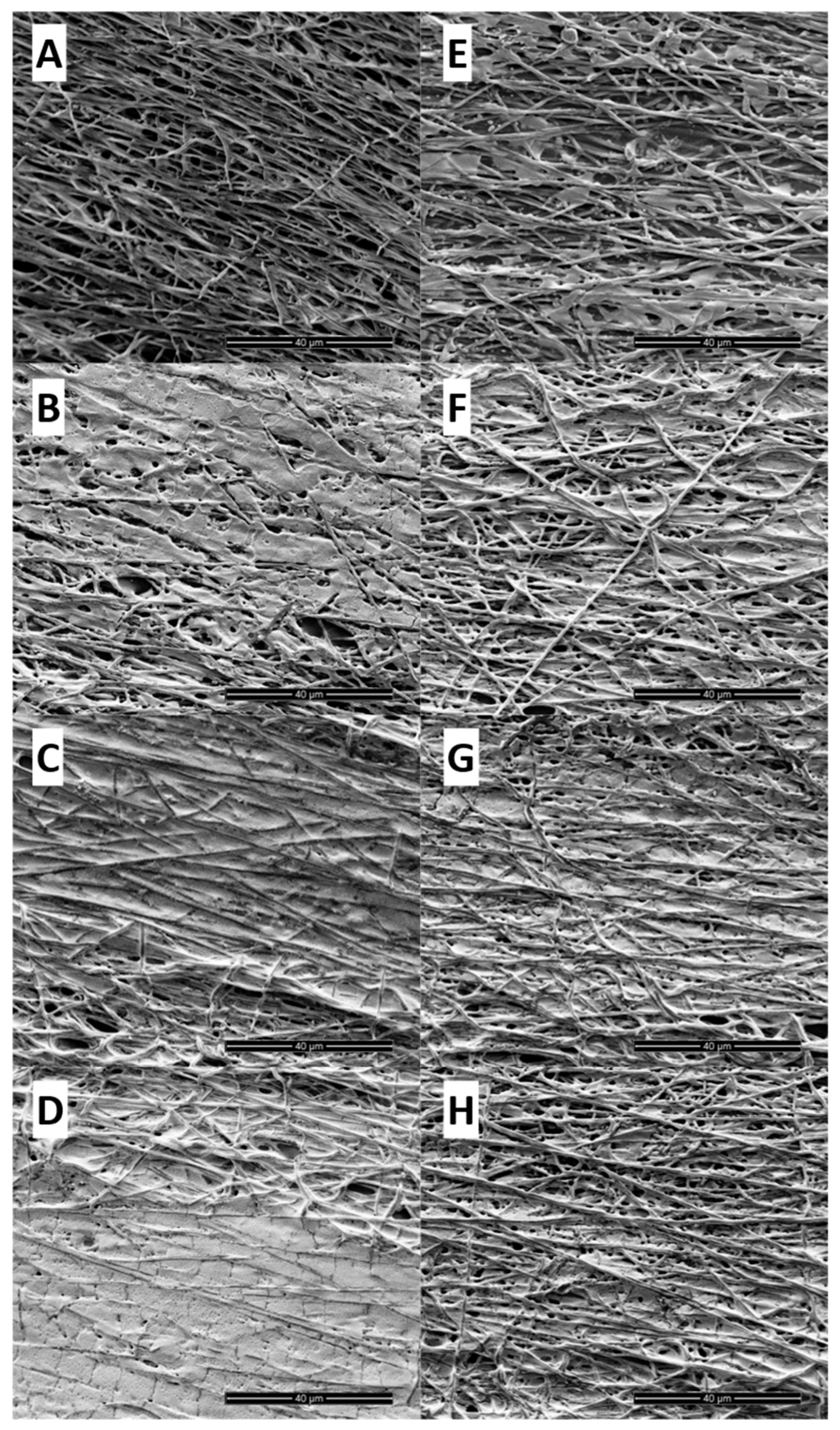 Preprints 157257 g005