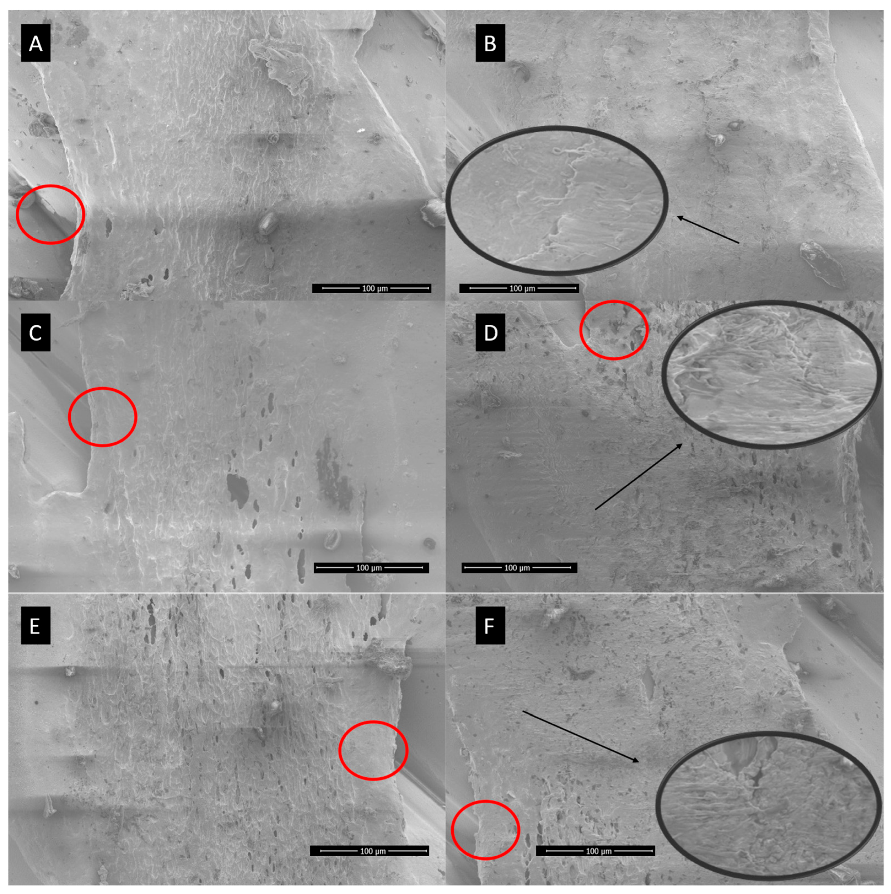 Preprints 157257 g009