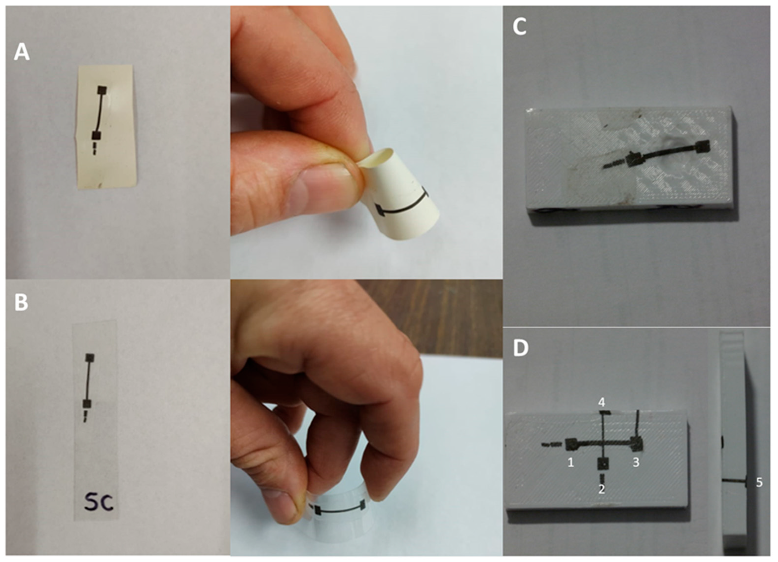 Preprints 157257 g011