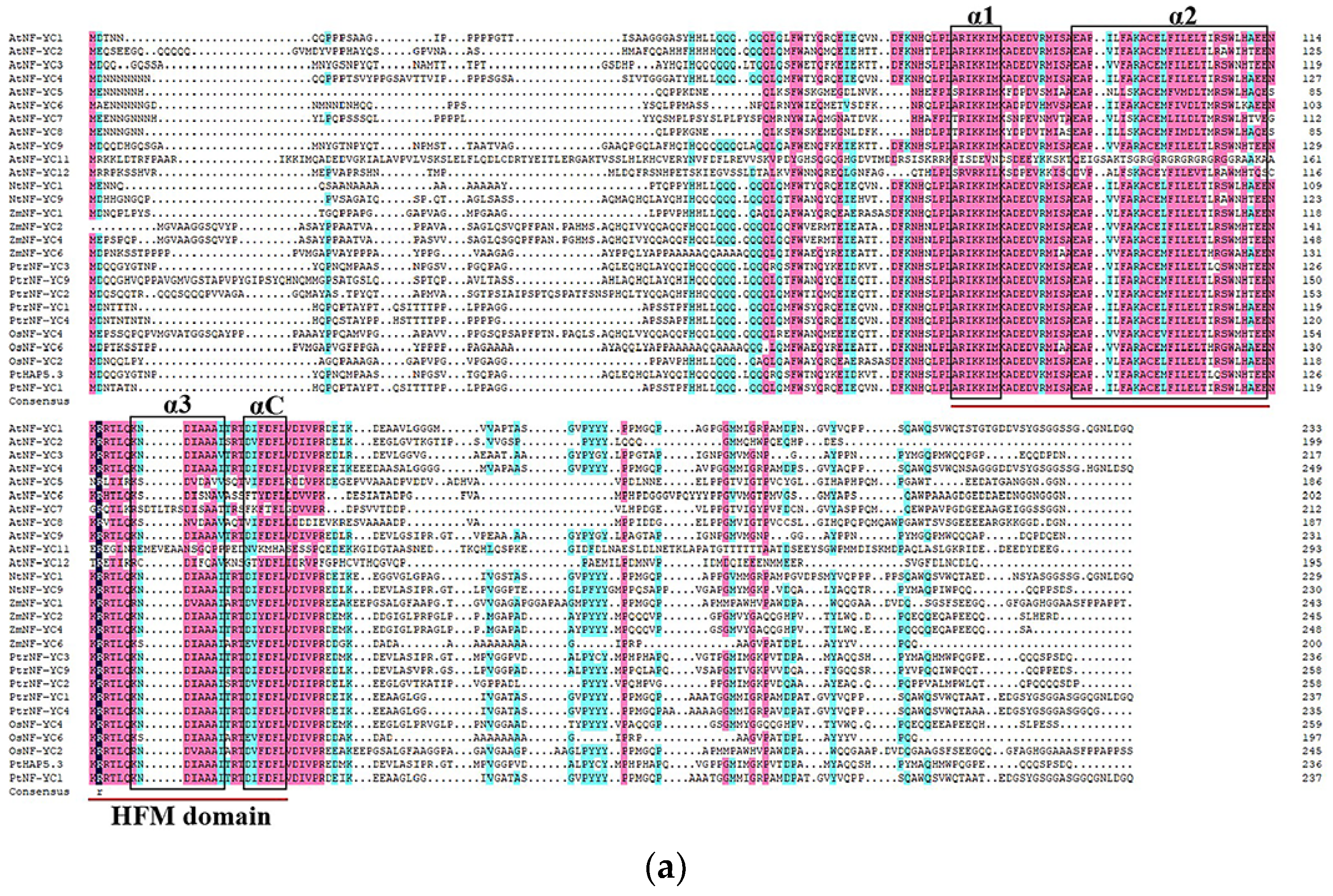 Populus euphratica CPK21 Interact with NF-YC3 to Enhance