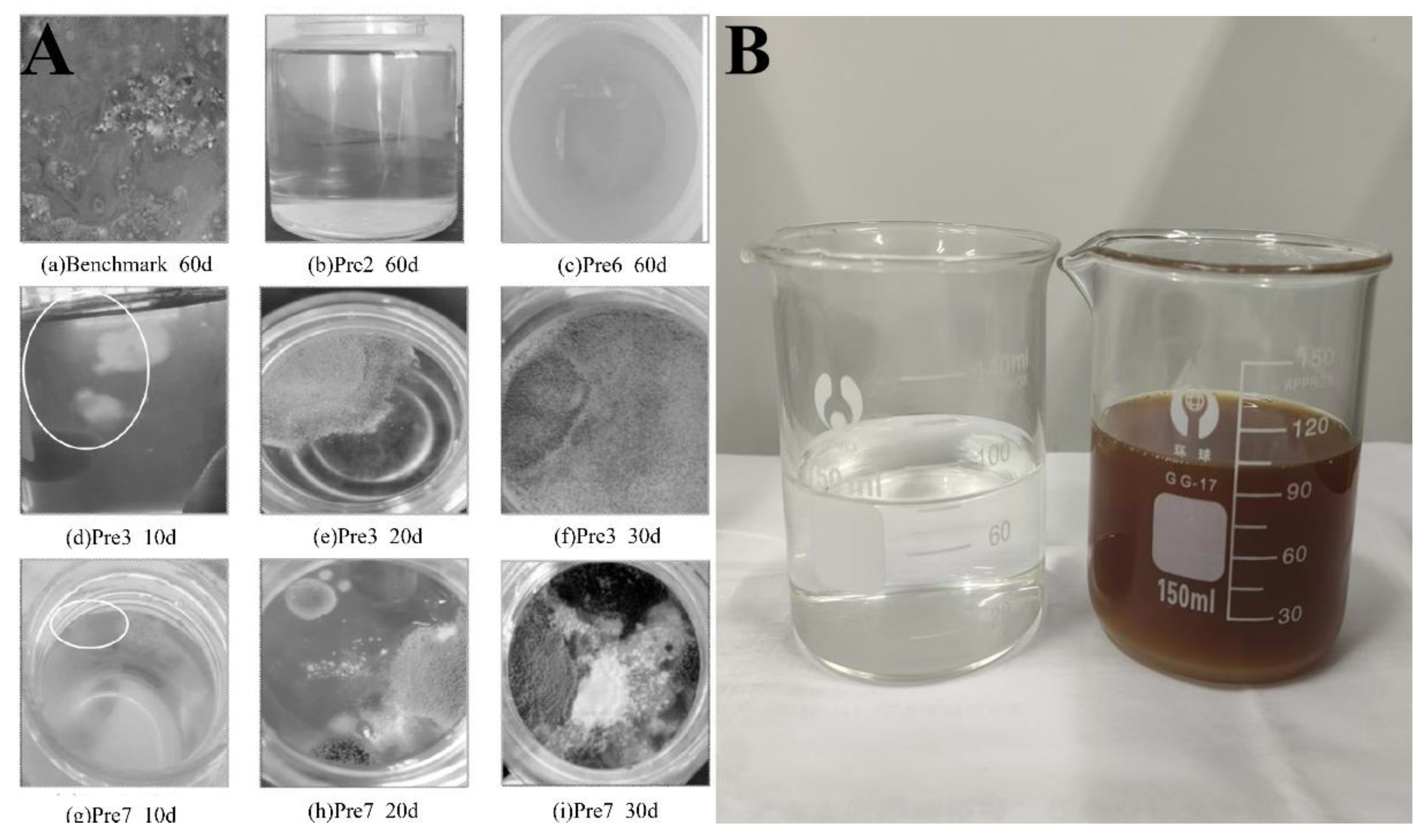 Preprints 152375 g001