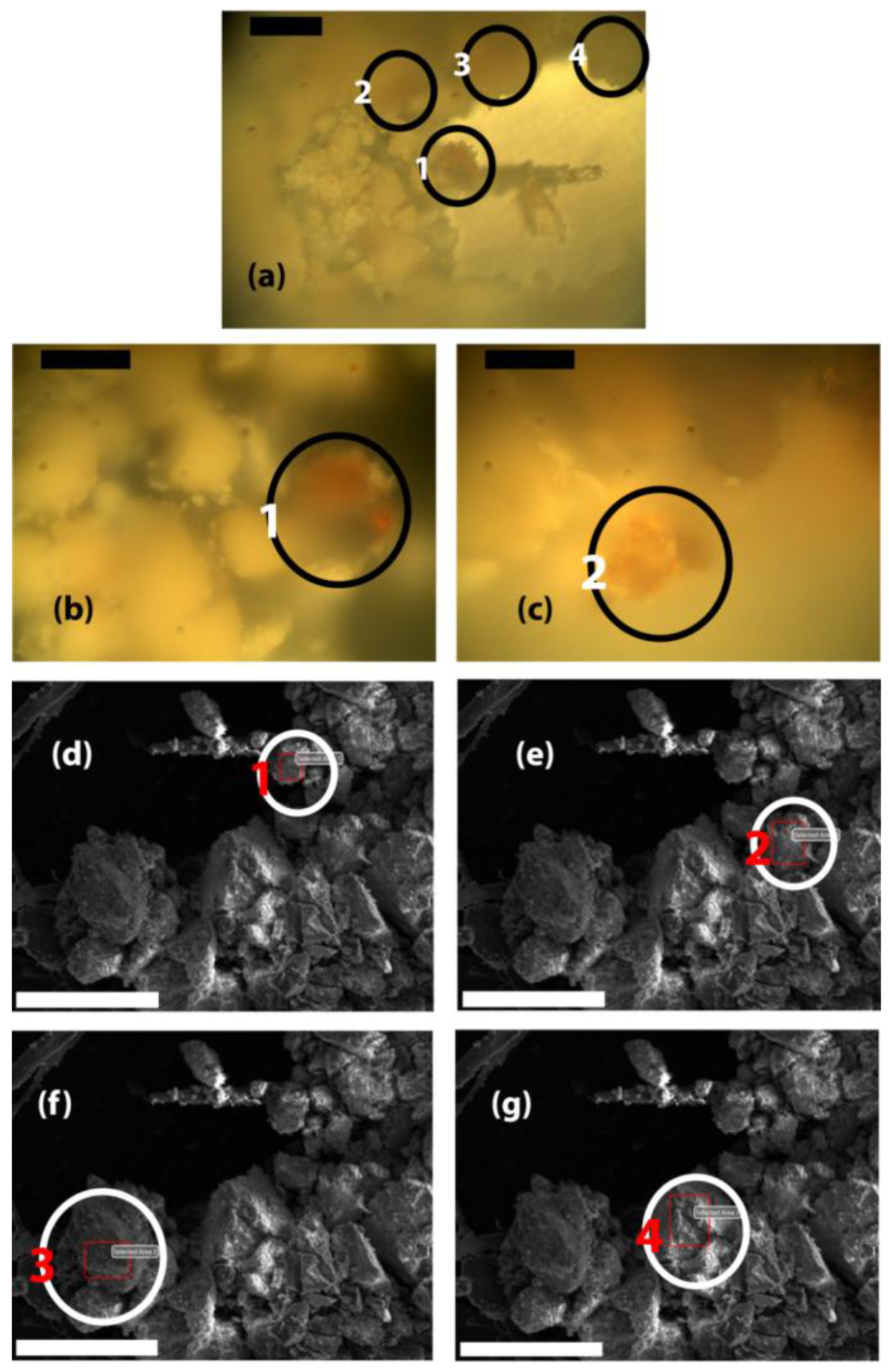 Preprints 197860 g005