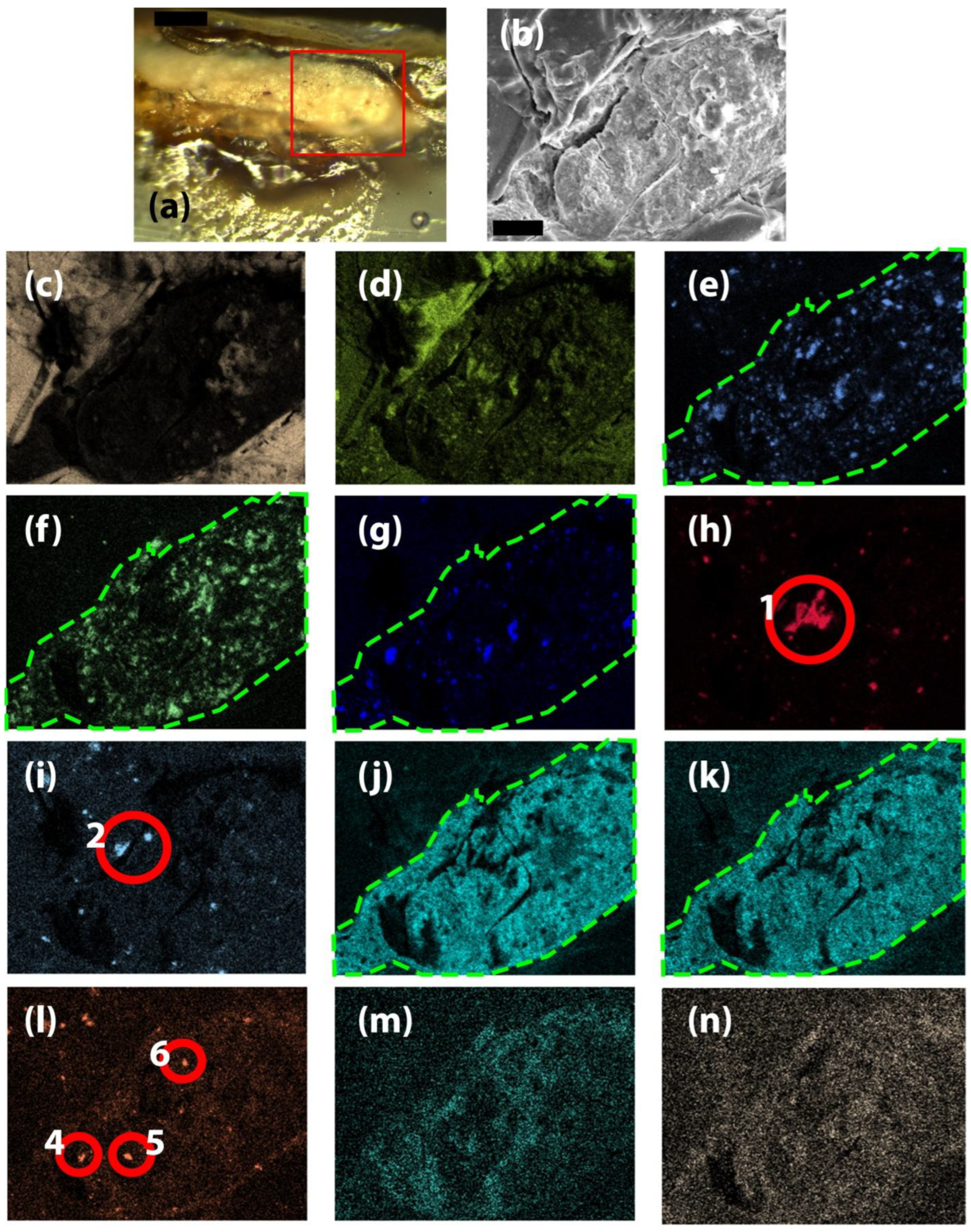 Preprints 197860 g007
