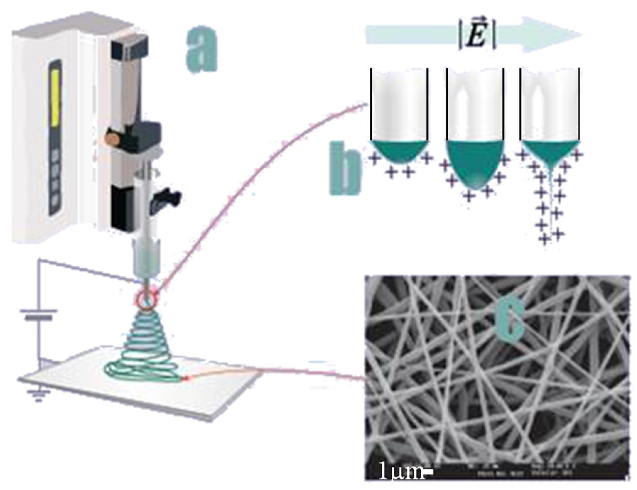Preprints 147608 g001