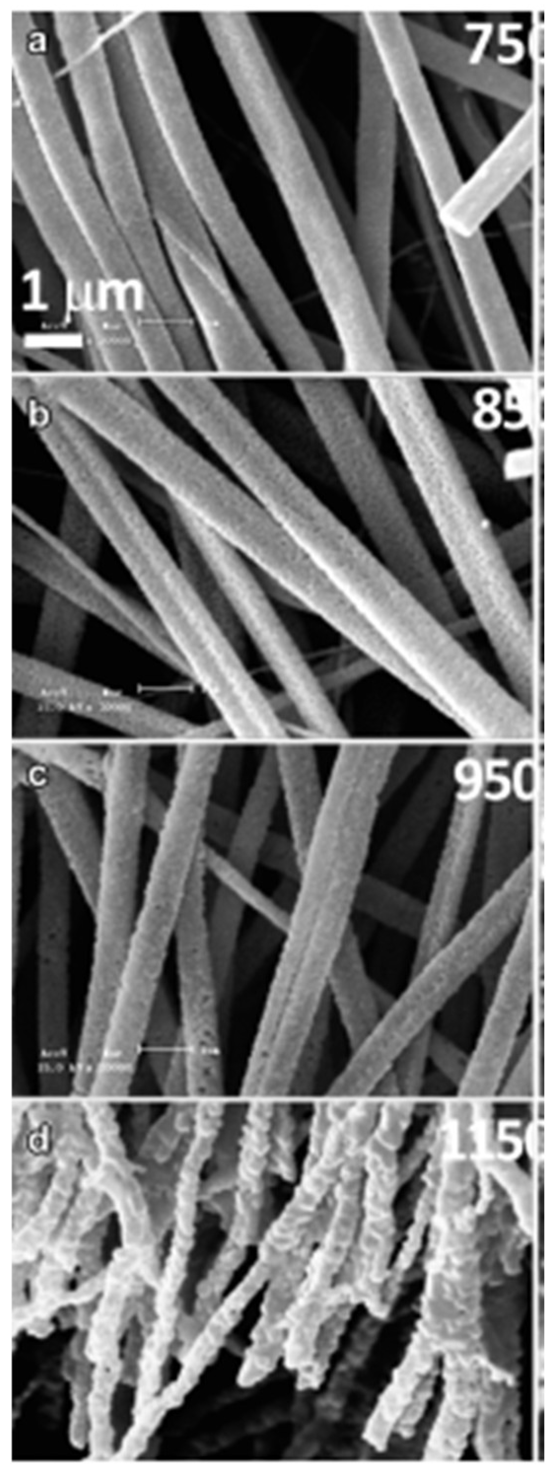 Preprints 147608 g003