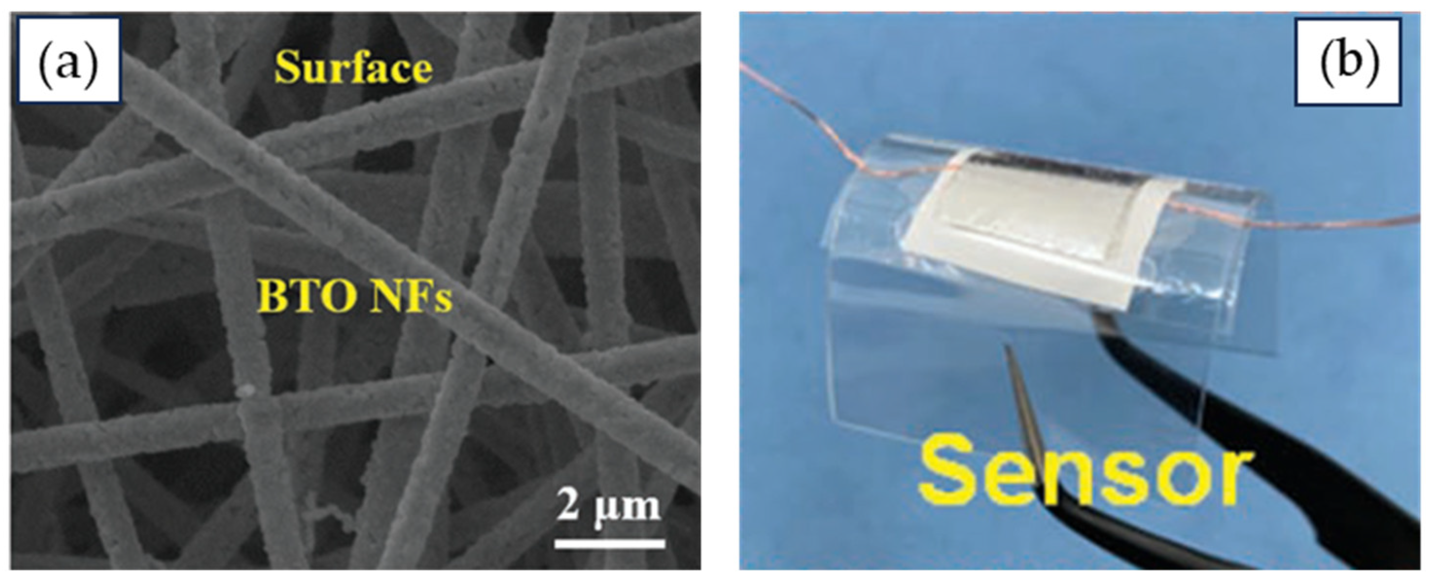 Preprints 147608 g004