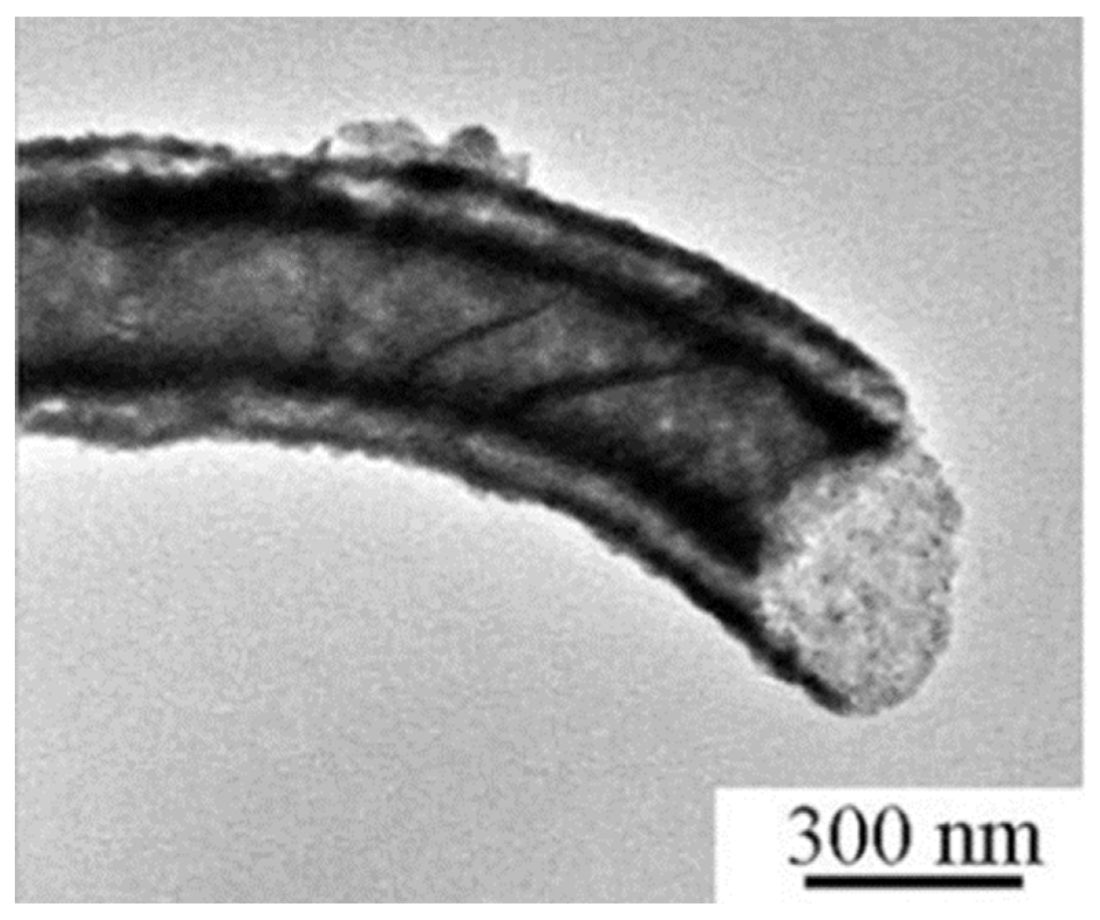 Preprints 147608 g005