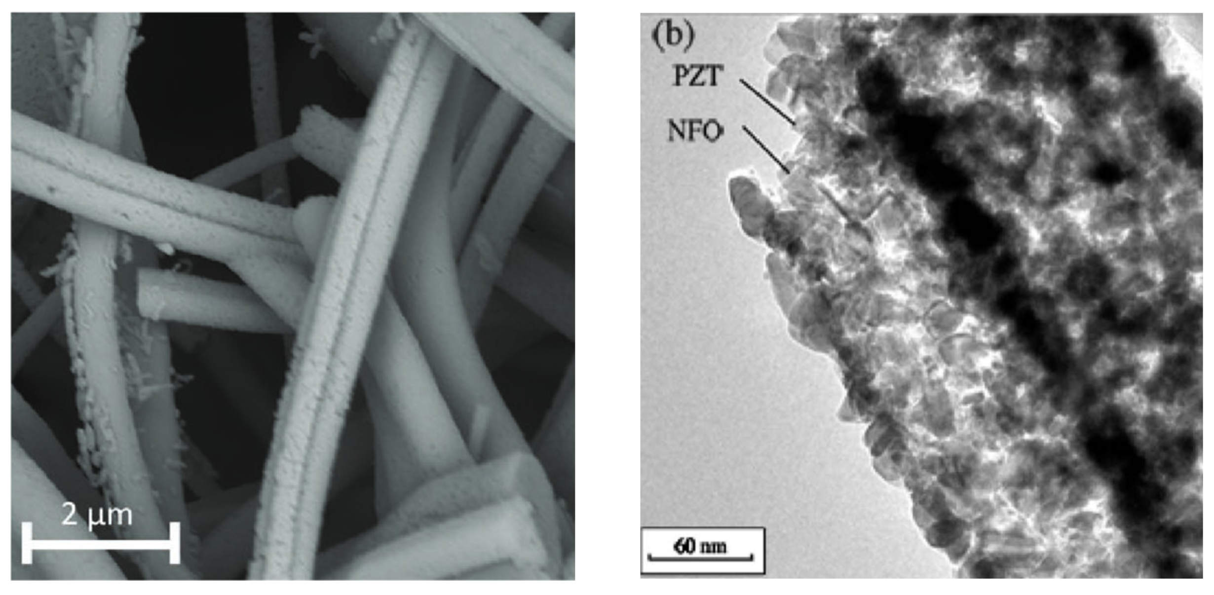 Preprints 147608 g006