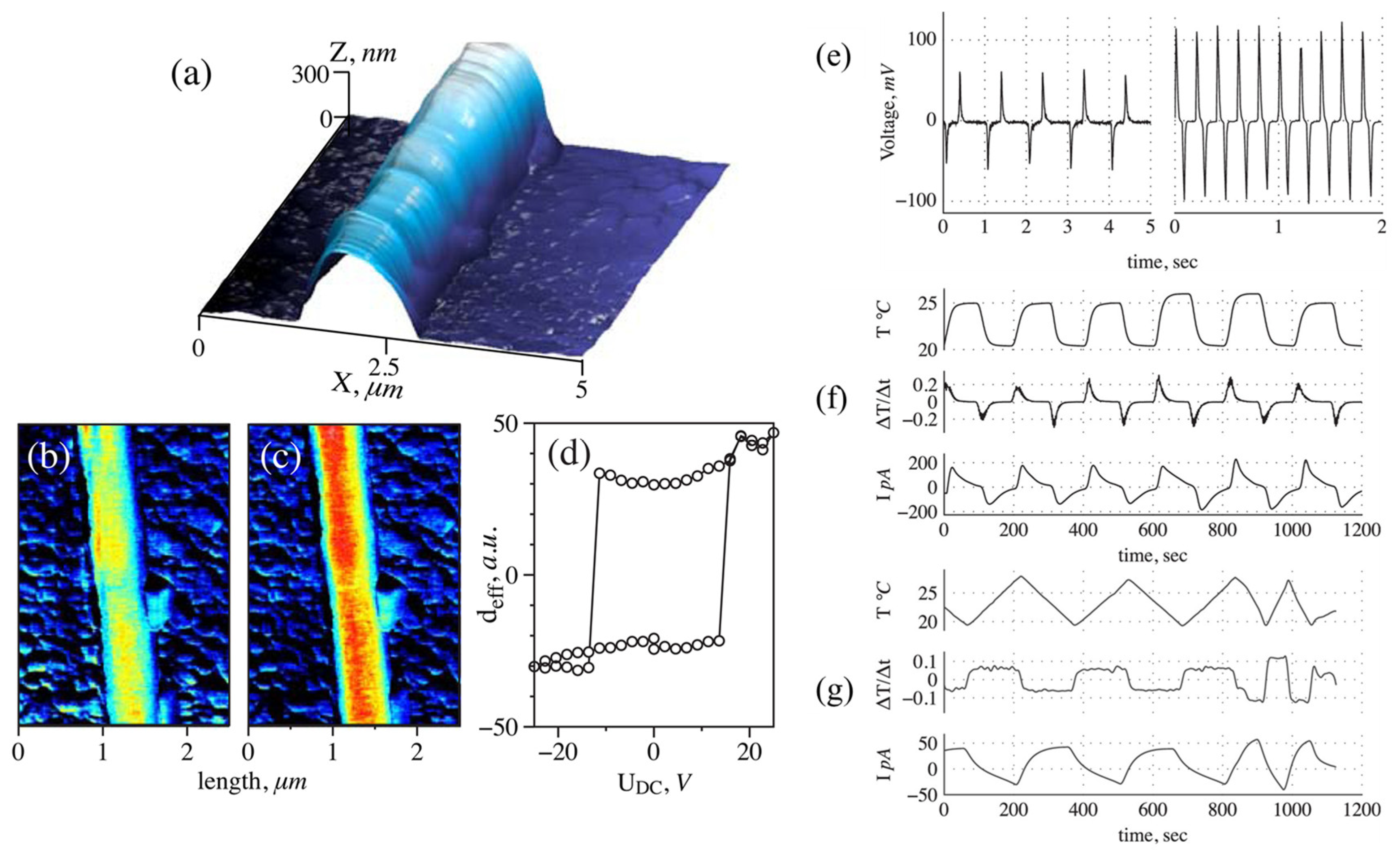 Preprints 147608 g007