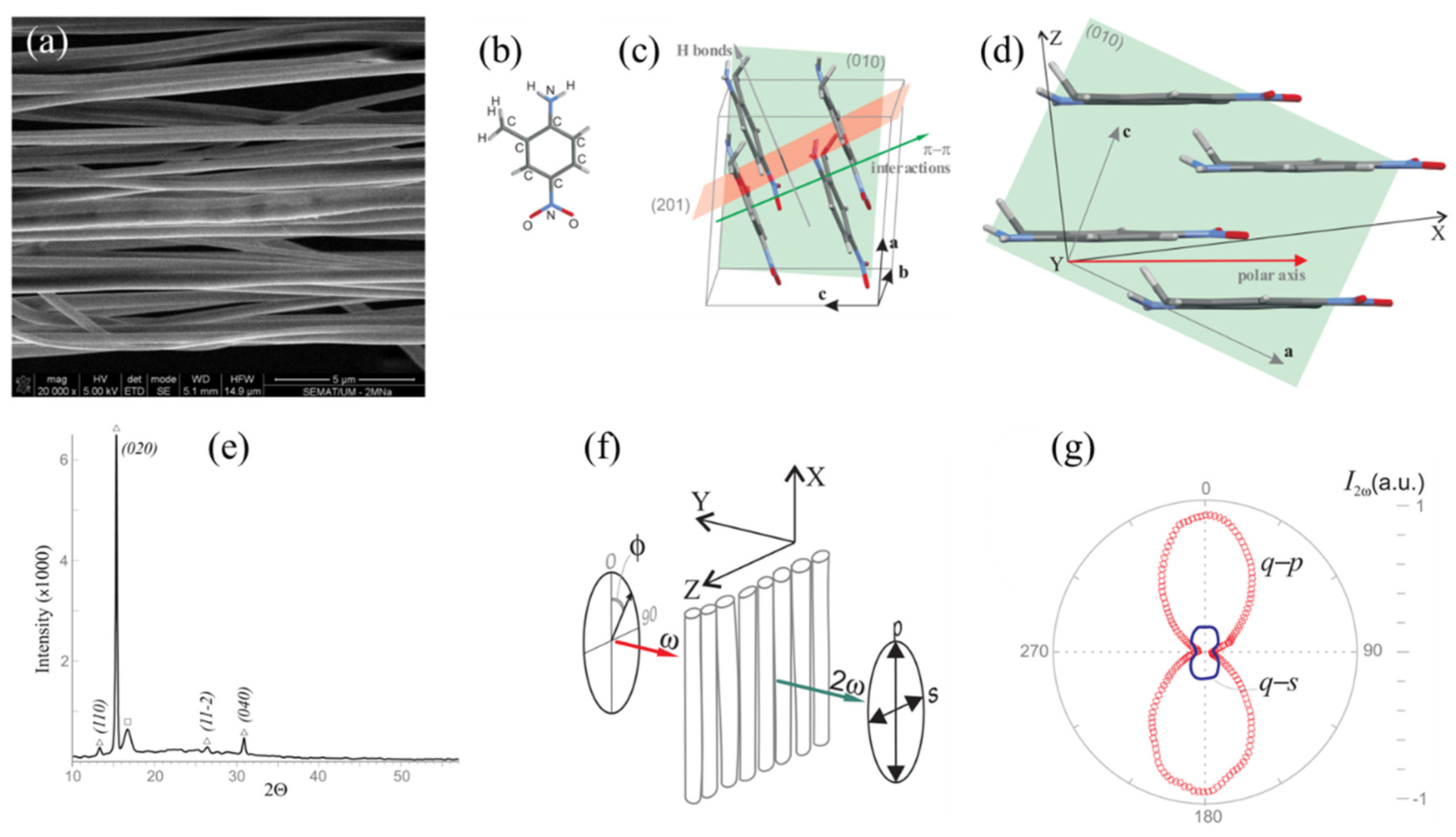 Preprints 147608 g010