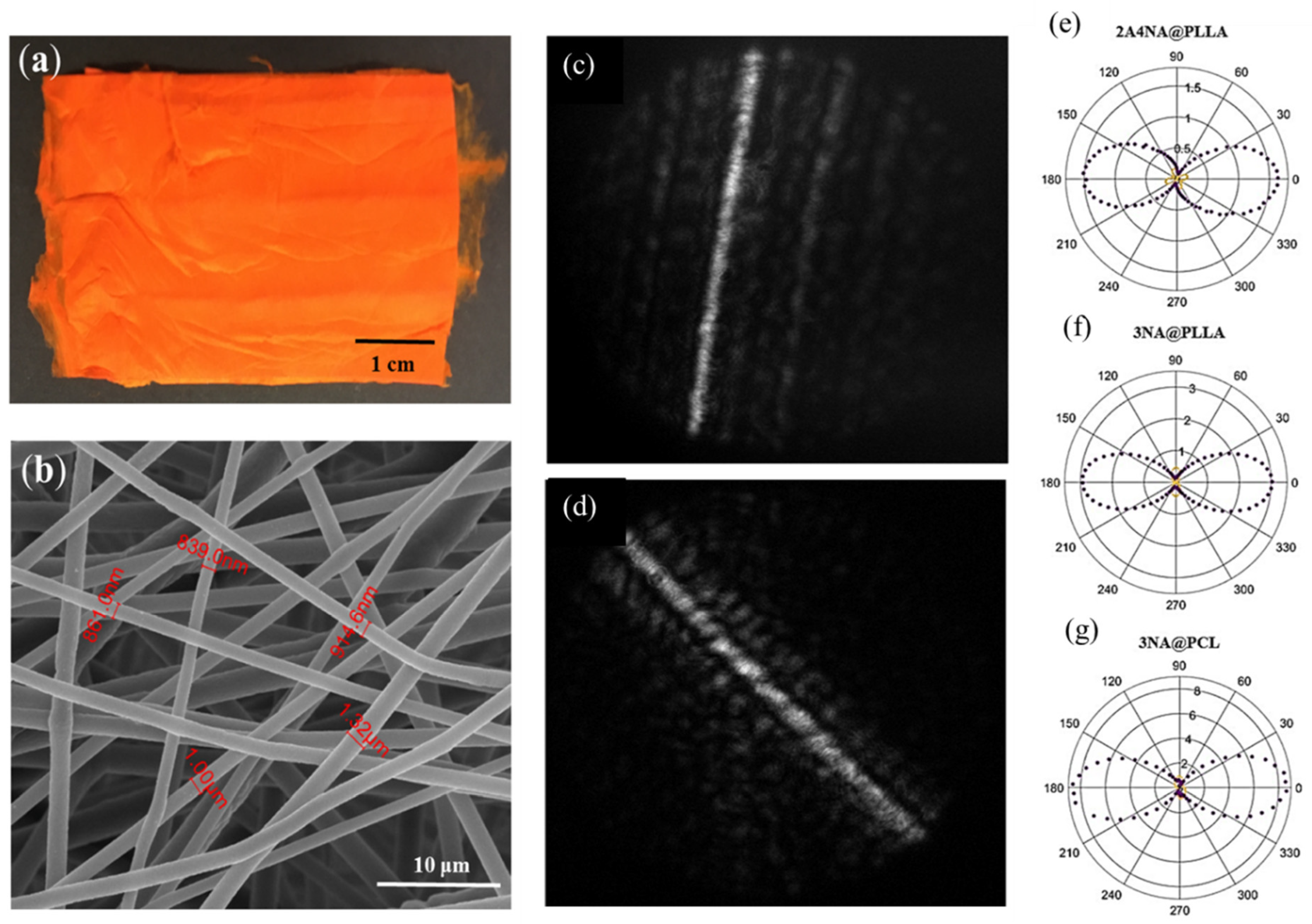 Preprints 147608 g014