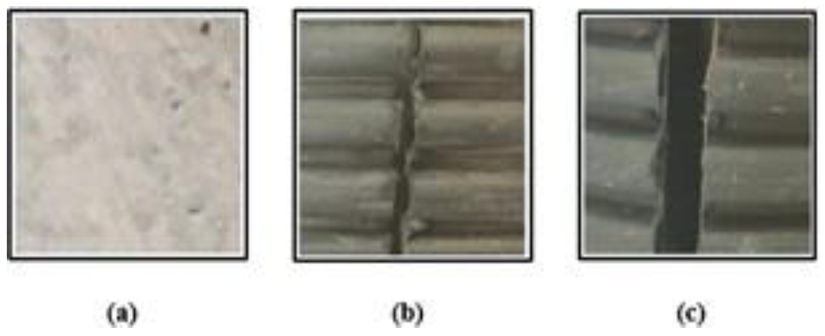 Preprints 138622 g005