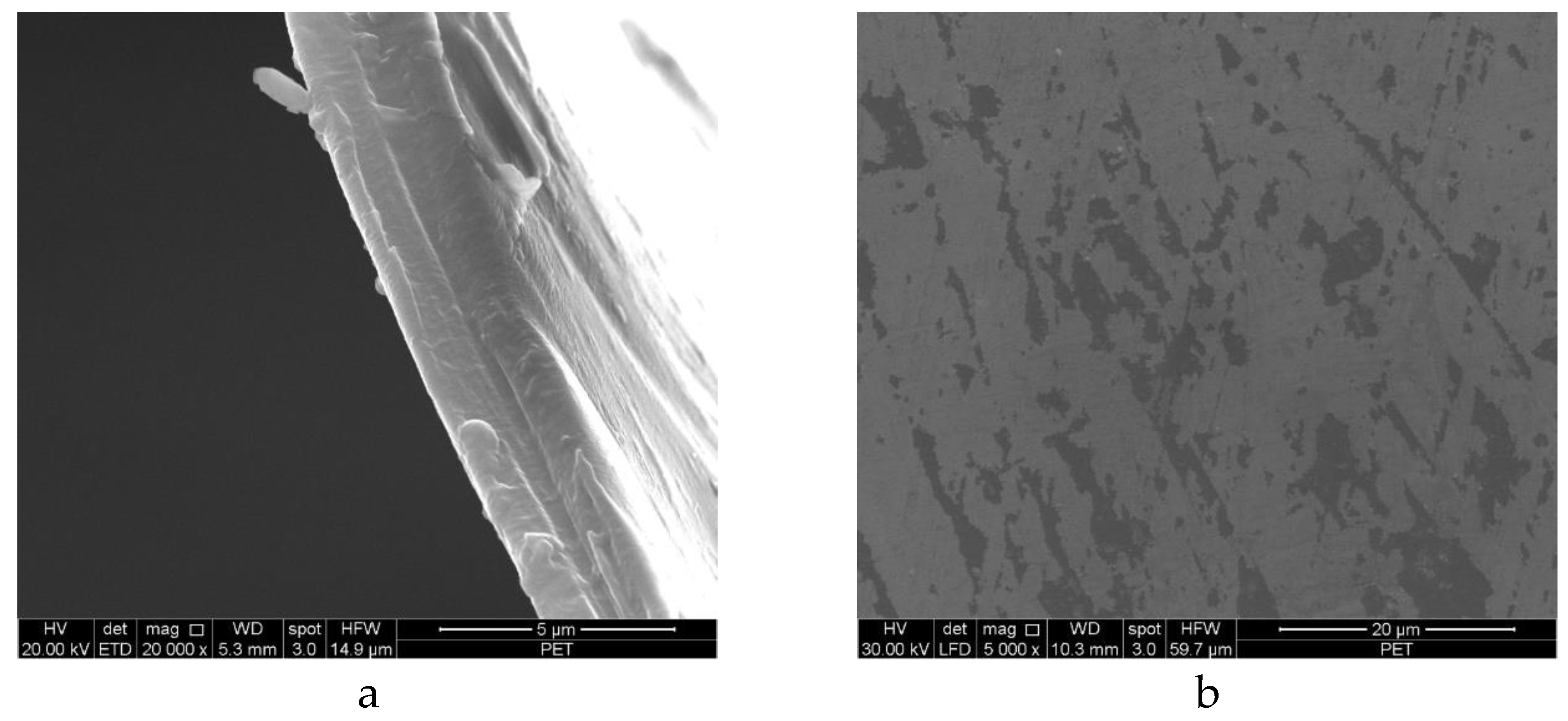 Preprints 208554 g001