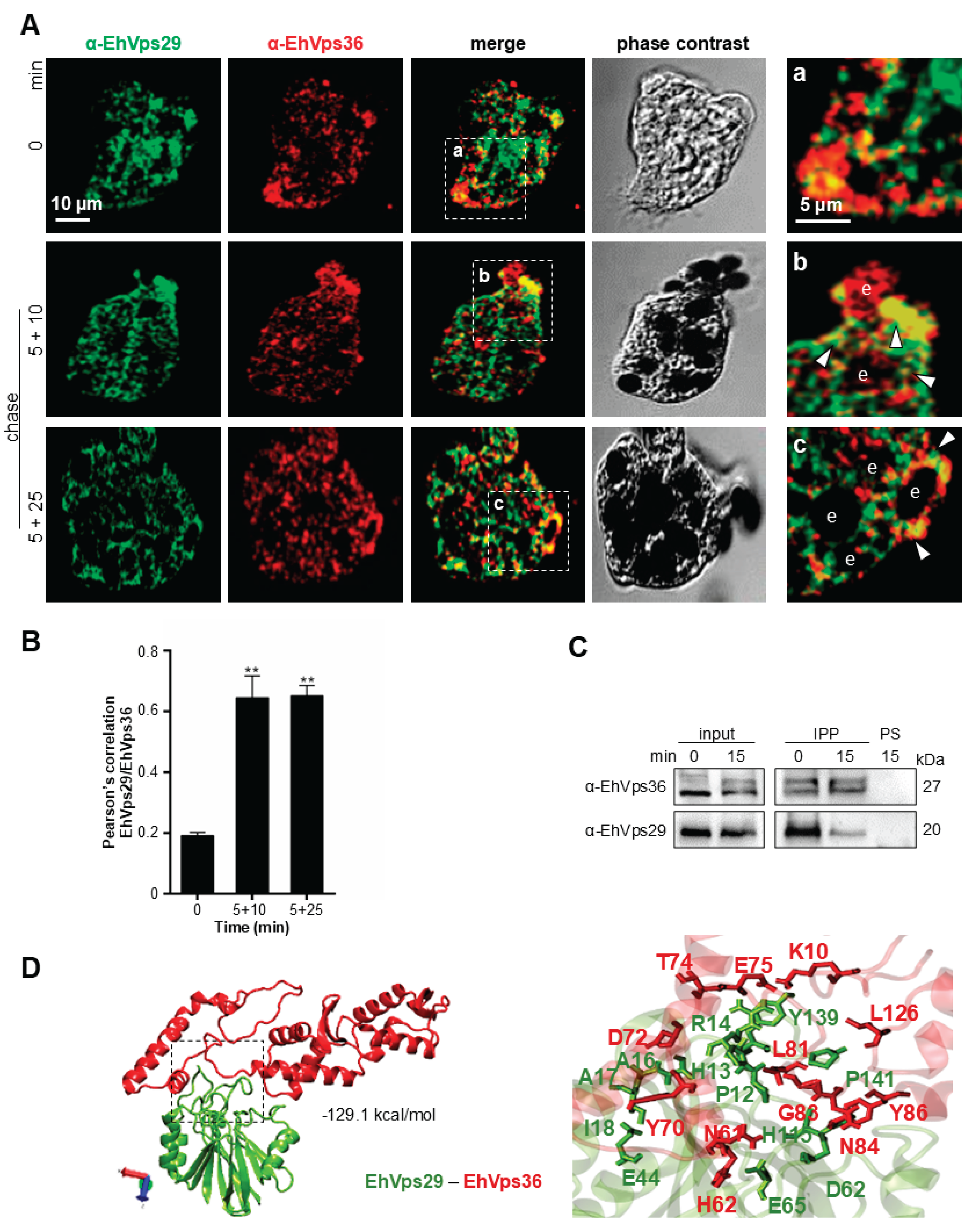 Preprints 203554 g004