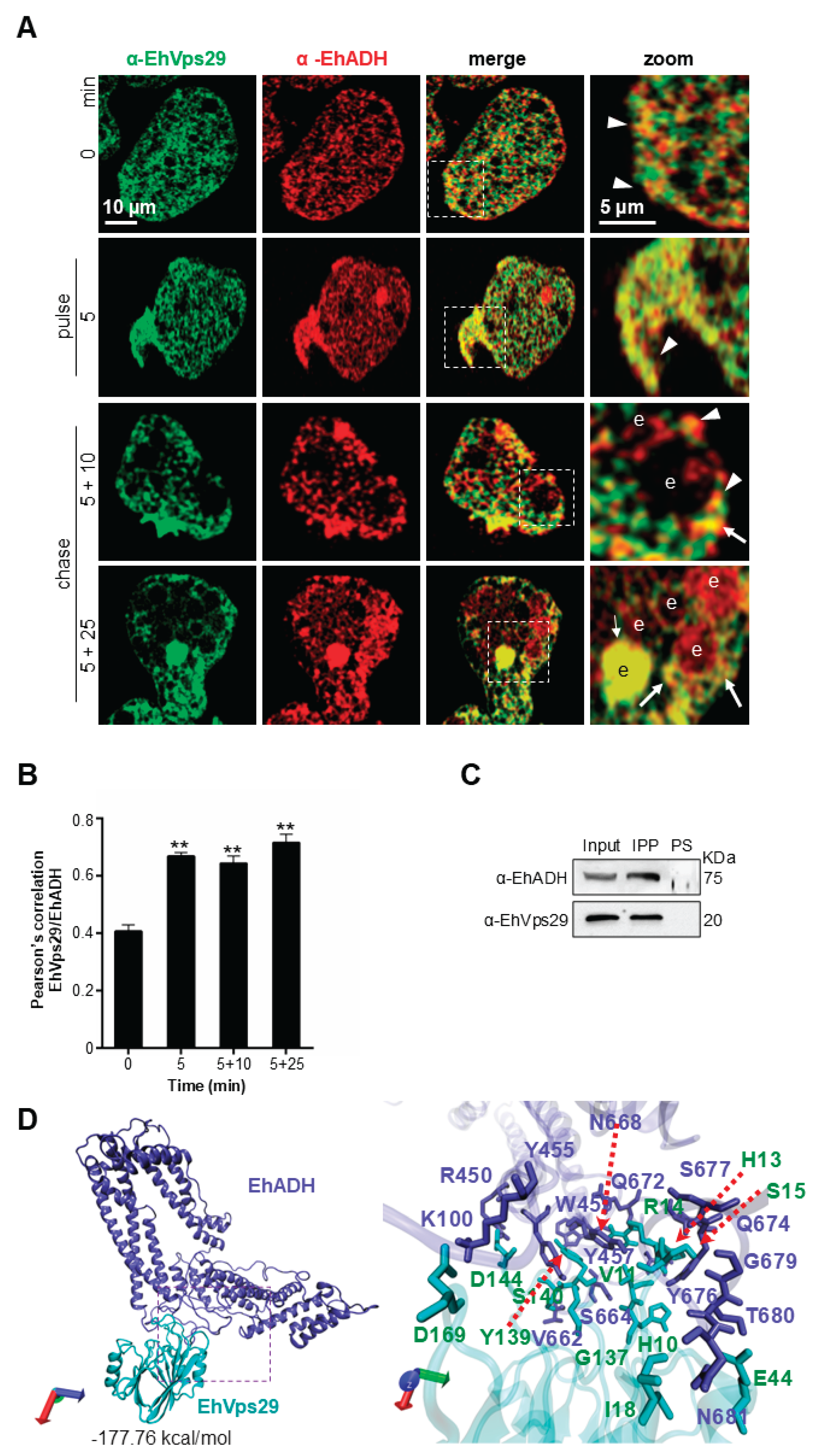 Preprints 203554 g005