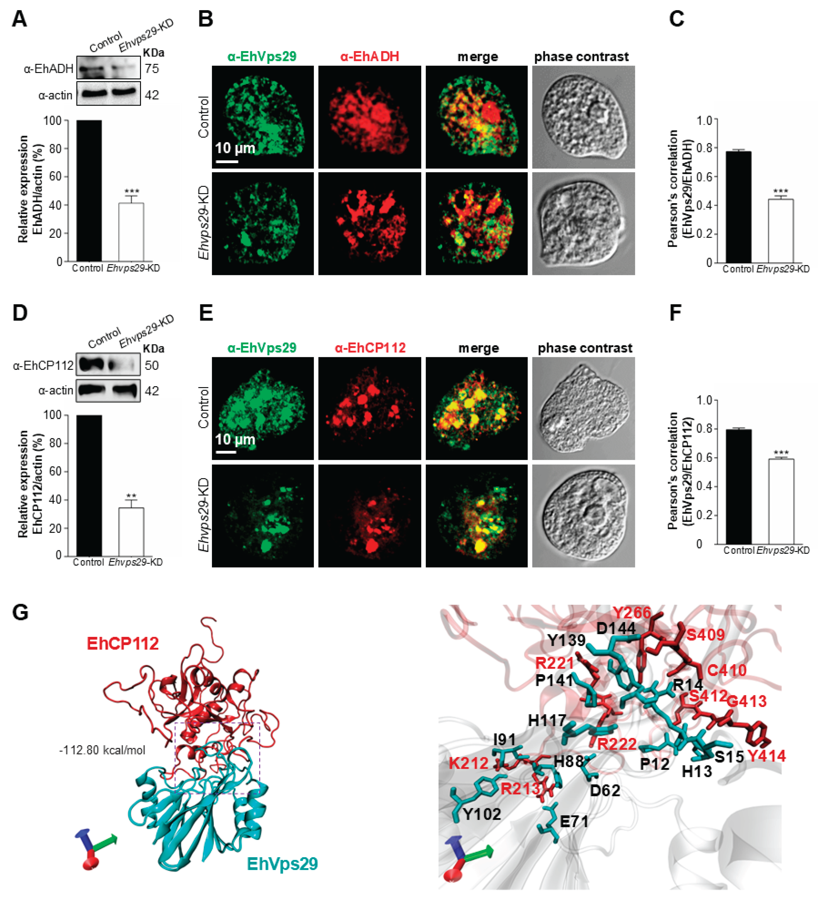 Preprints 203554 g009