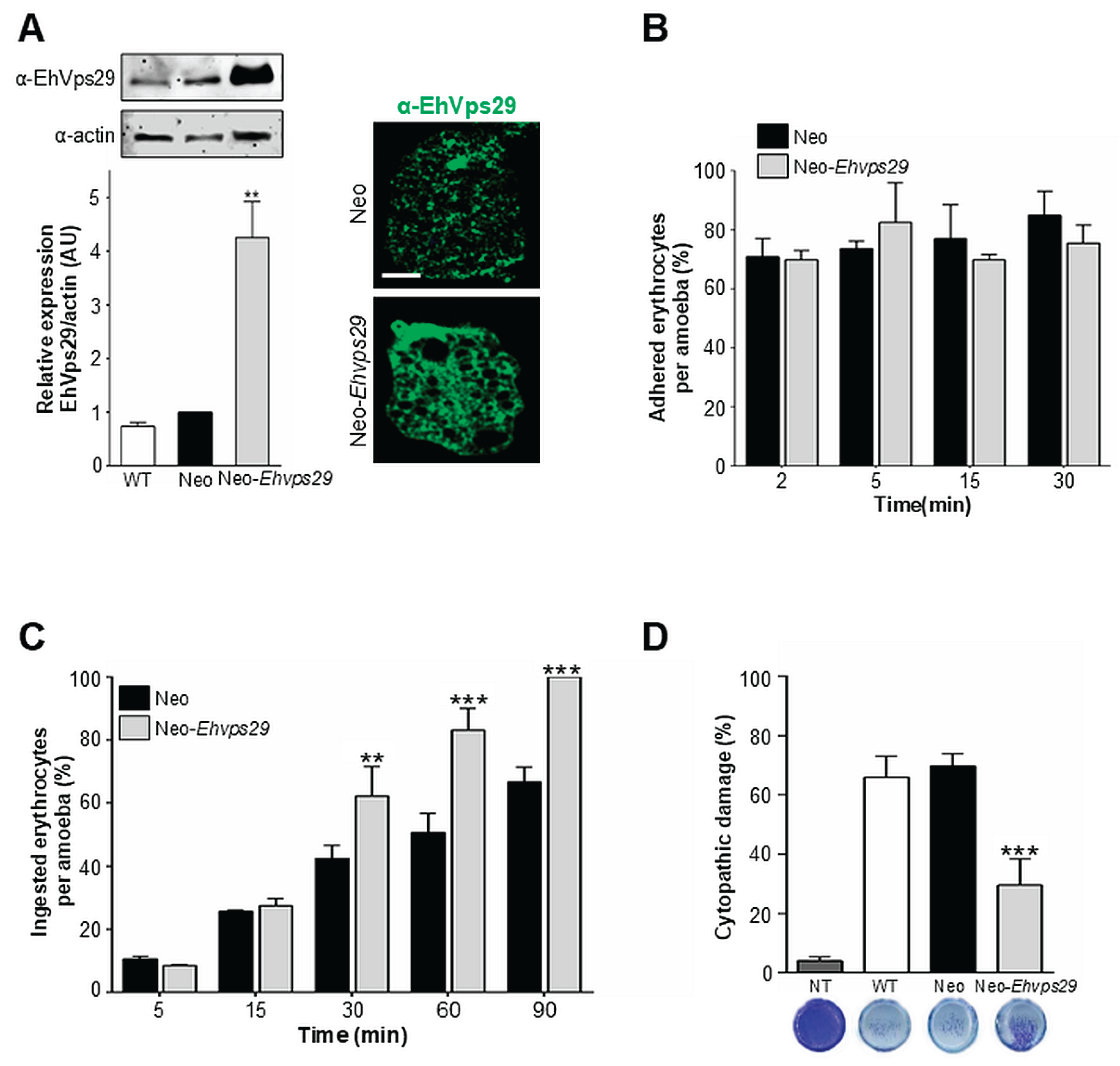 Preprints 203554 g010
