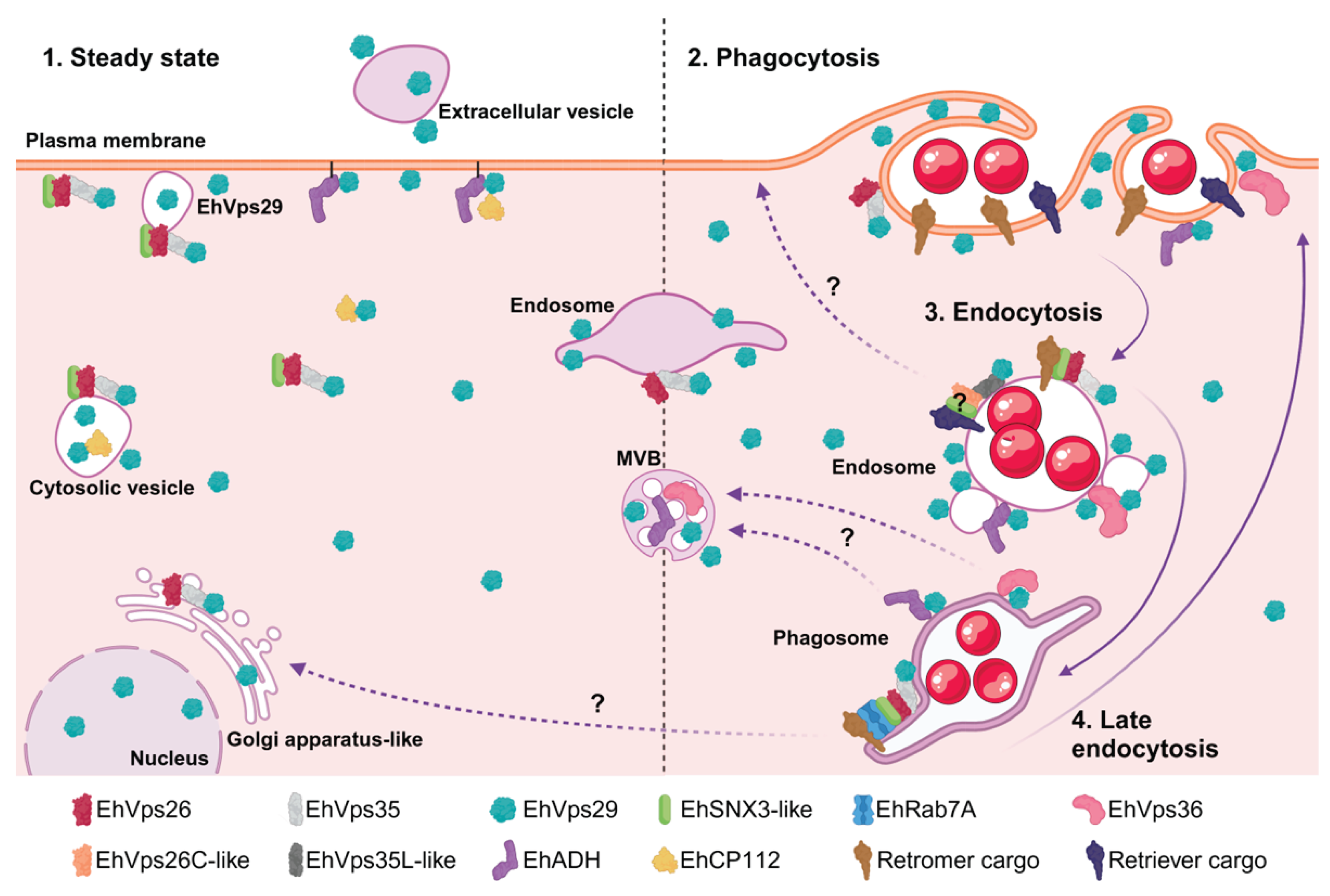 Preprints 203554 g011