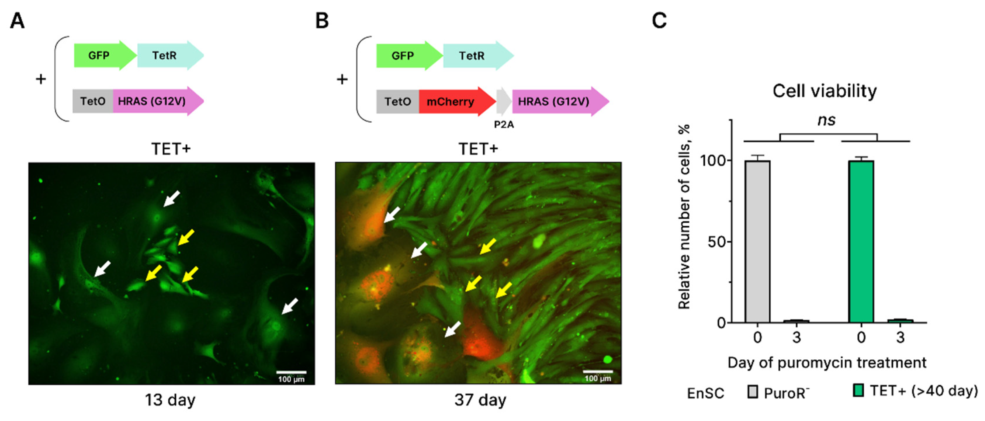 Preprints 80521 g002