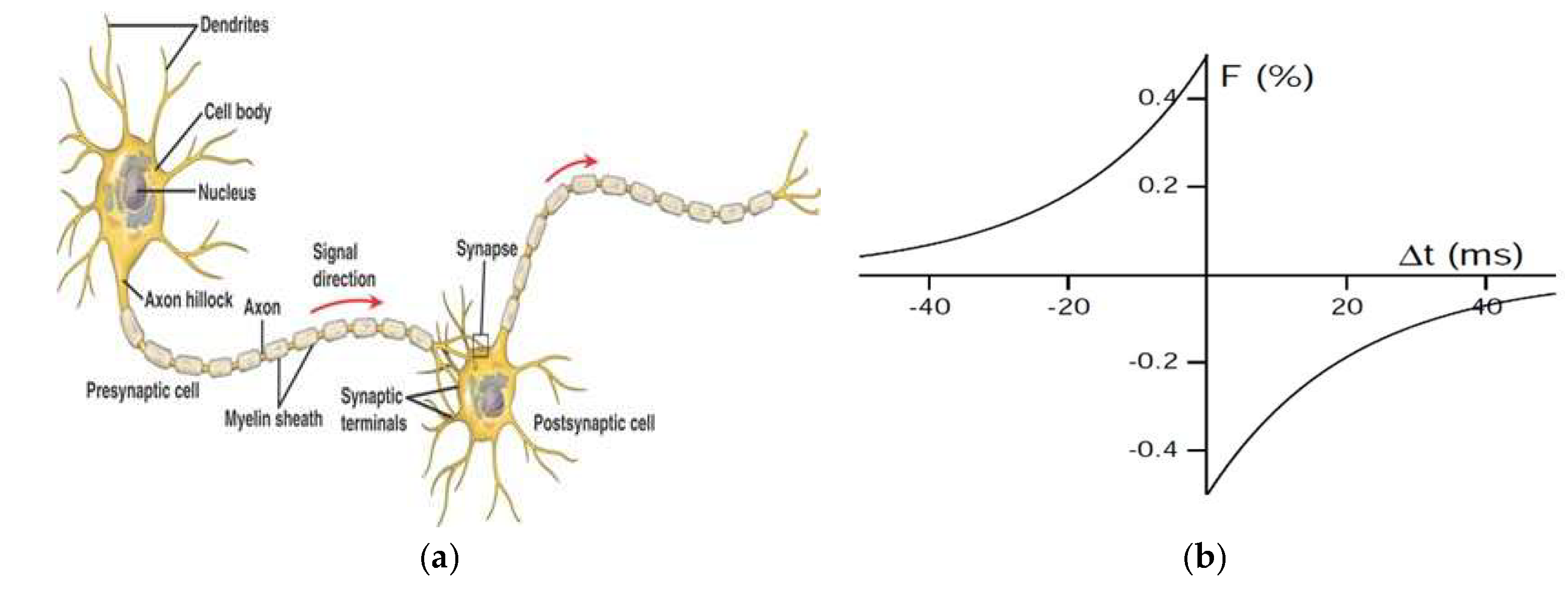 Preprints 207156 g001
