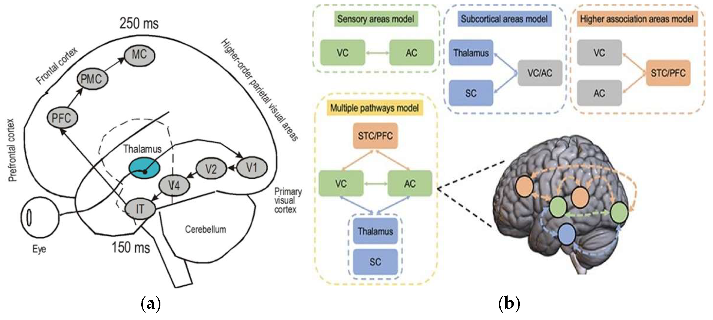Preprints 207156 g002