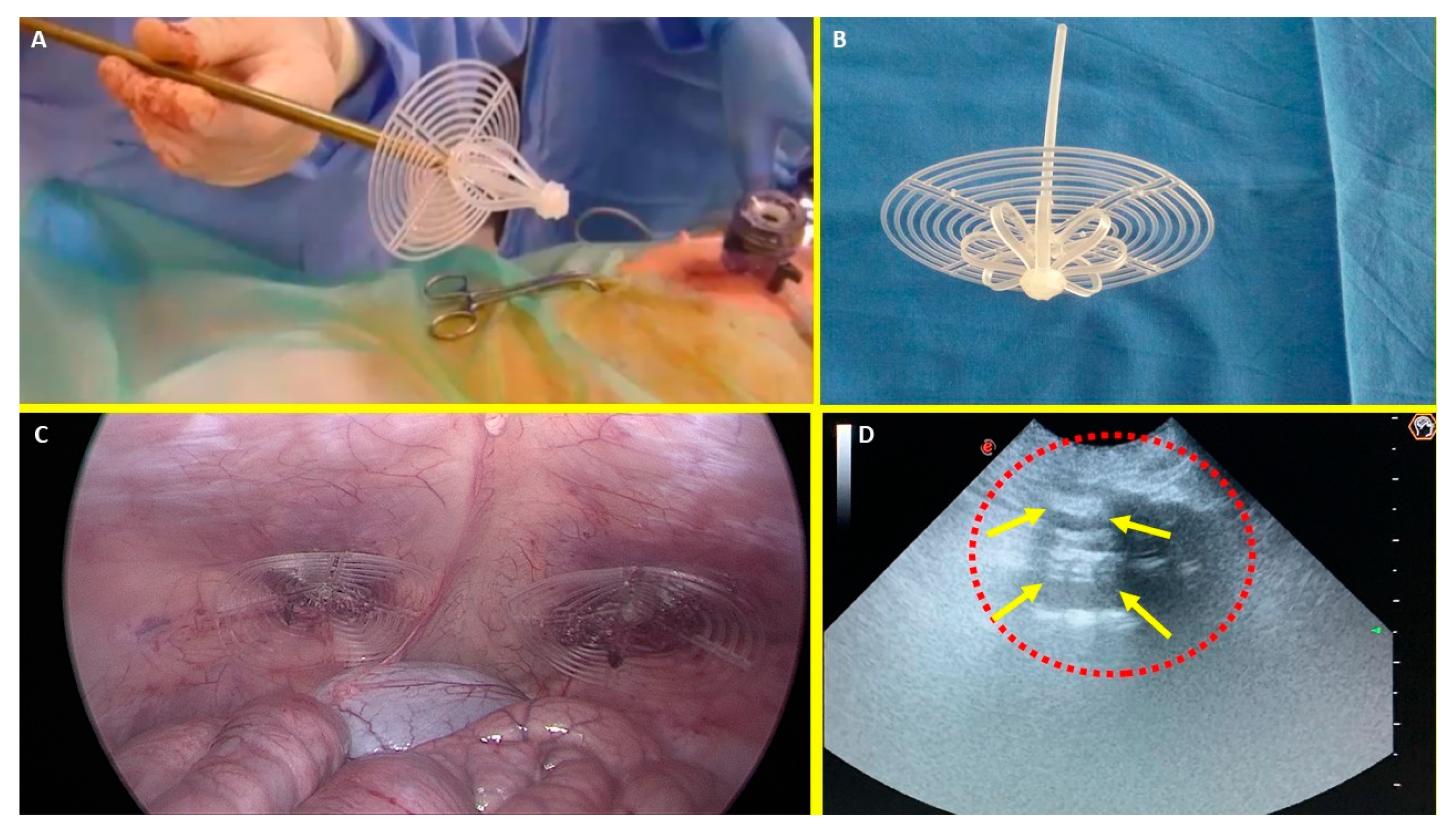 Preprints 144366 g001