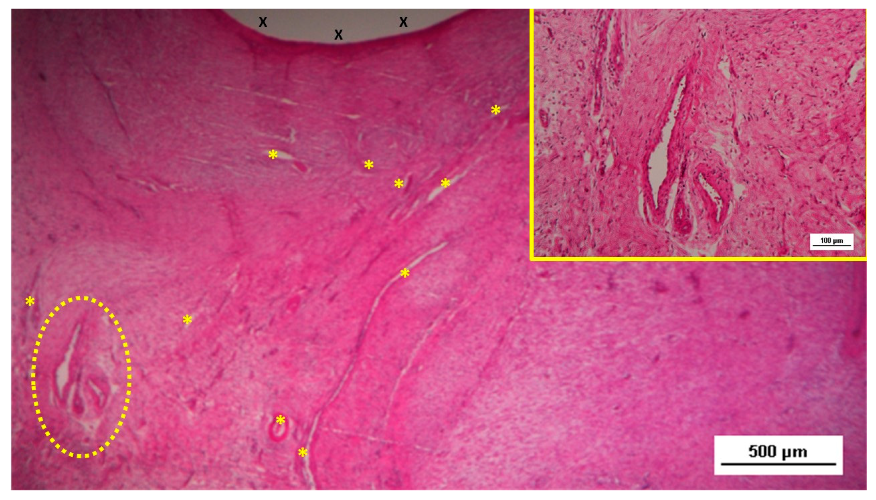 Preprints 144366 g004