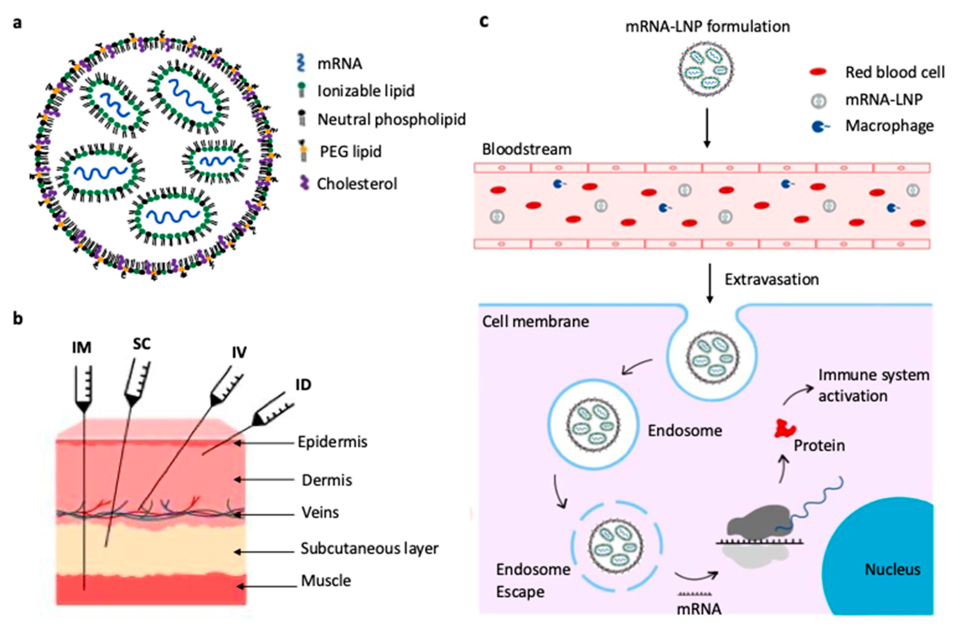 Preprints 167556 g001