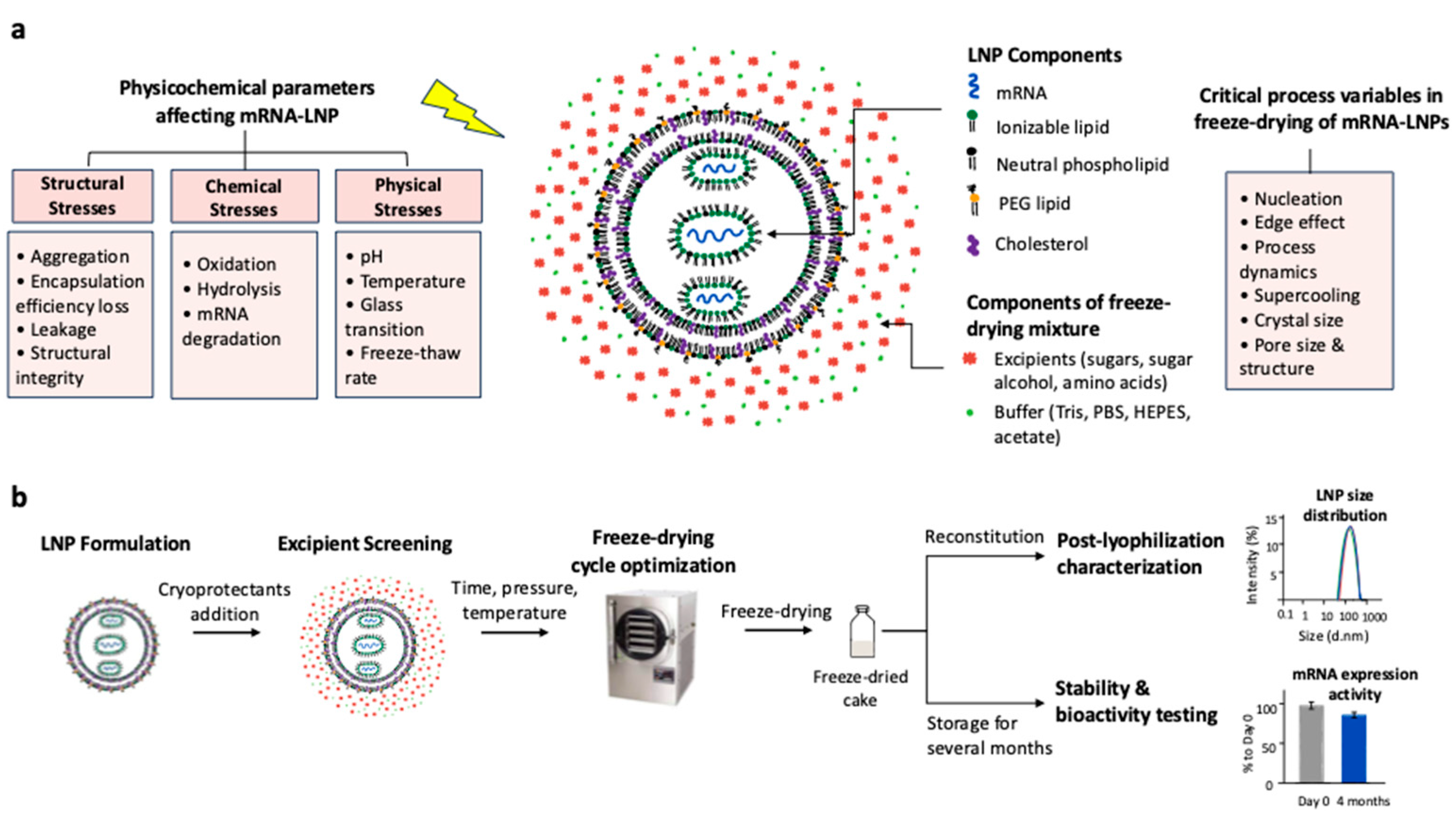 Preprints 167556 g002