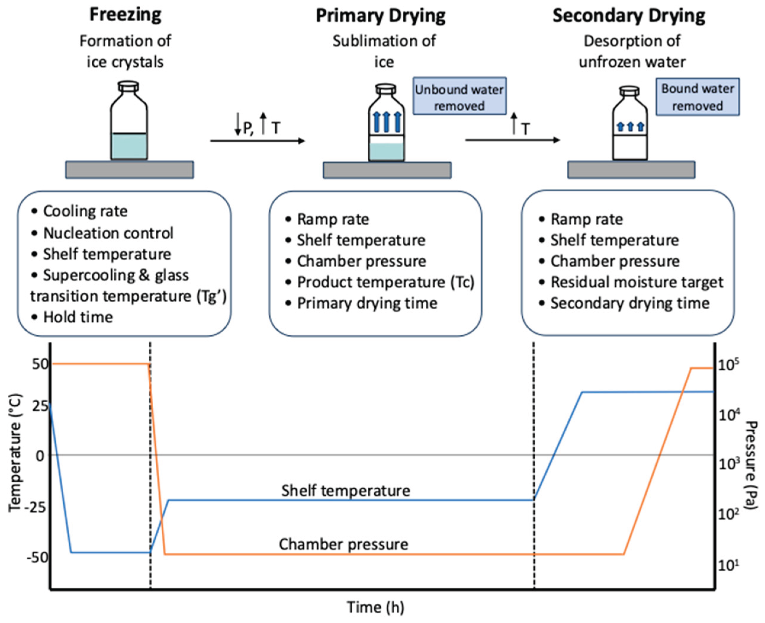 Preprints 167556 g003