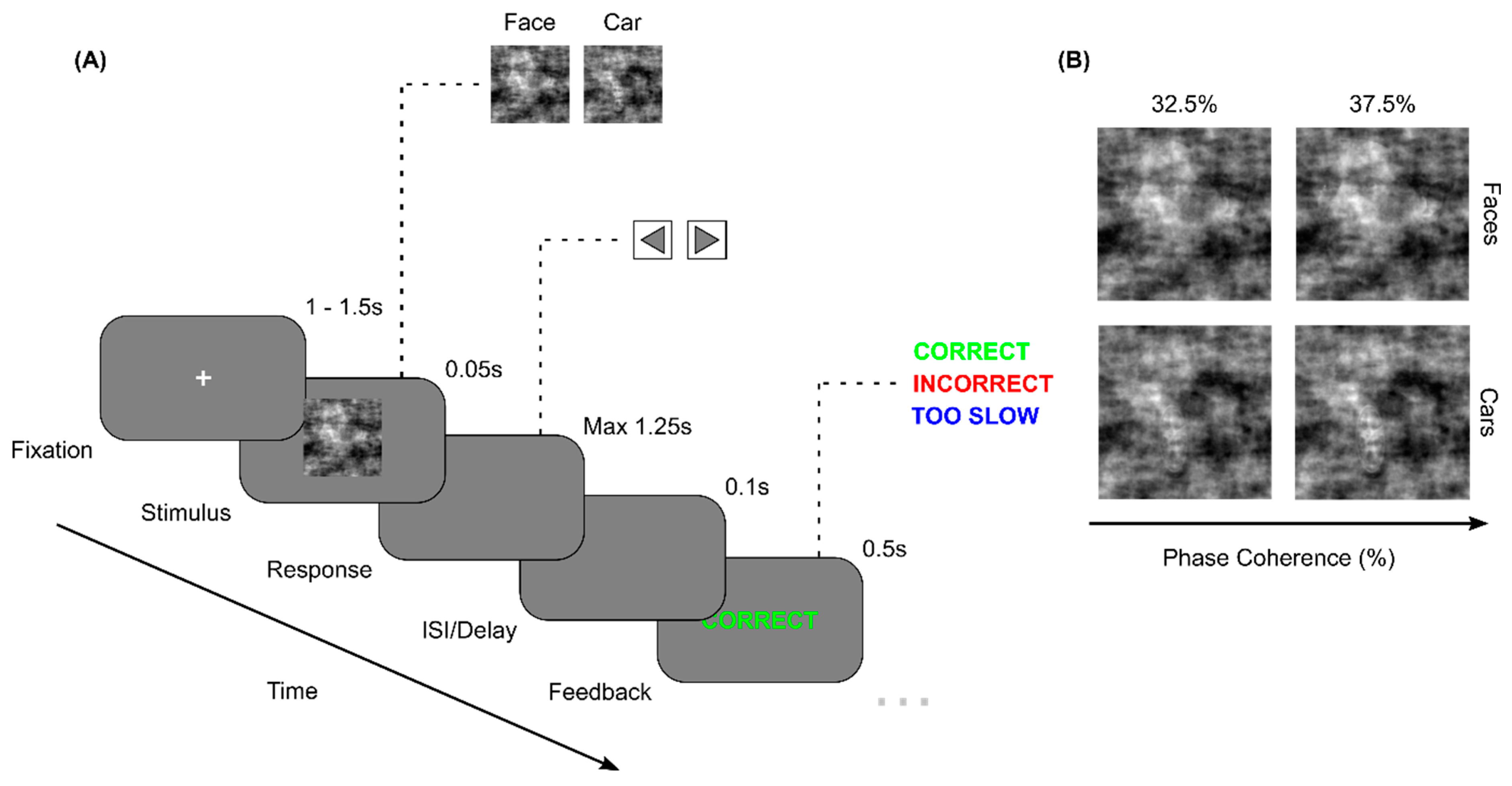 Preprints 139078 g001