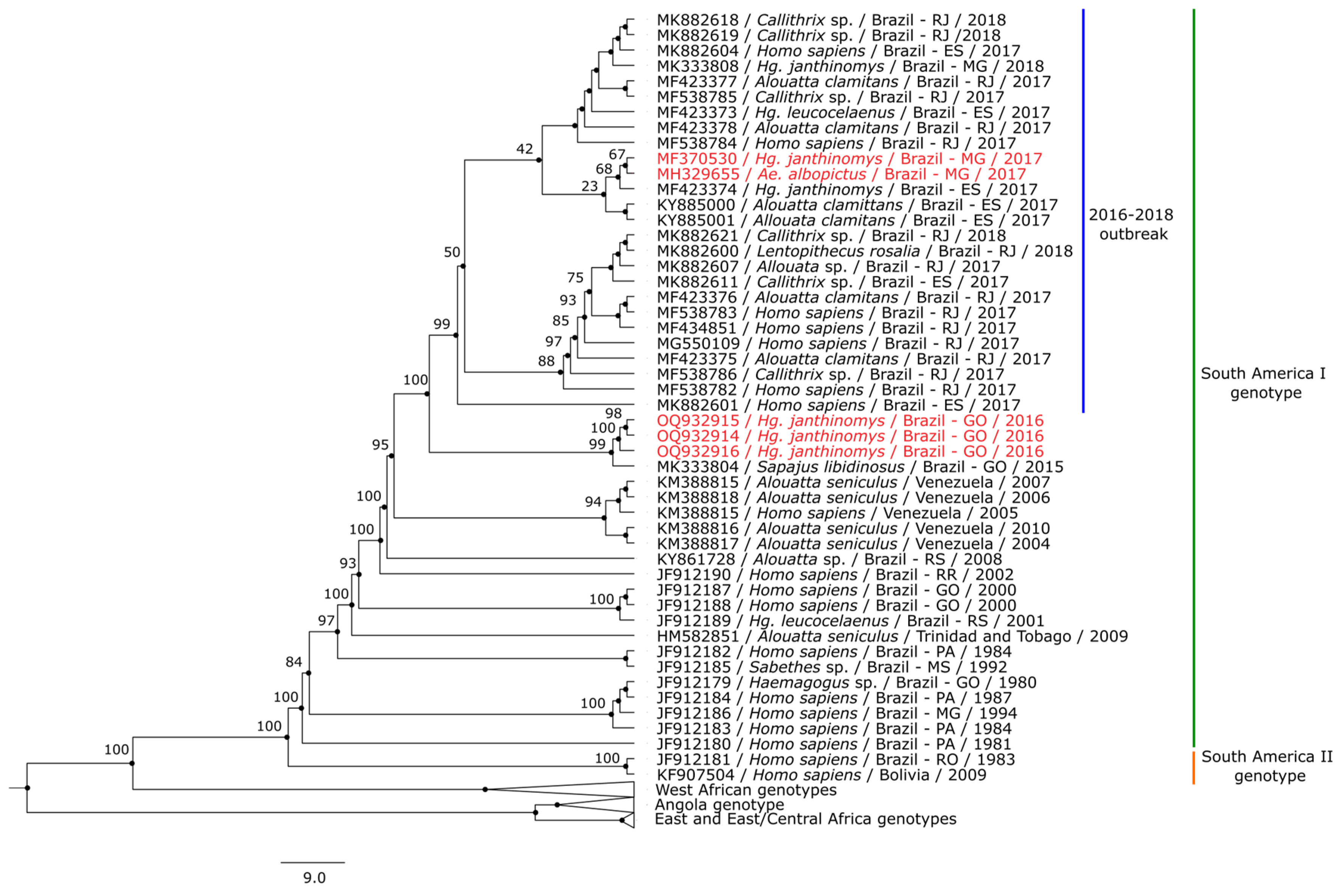 Preprints 73521 g003