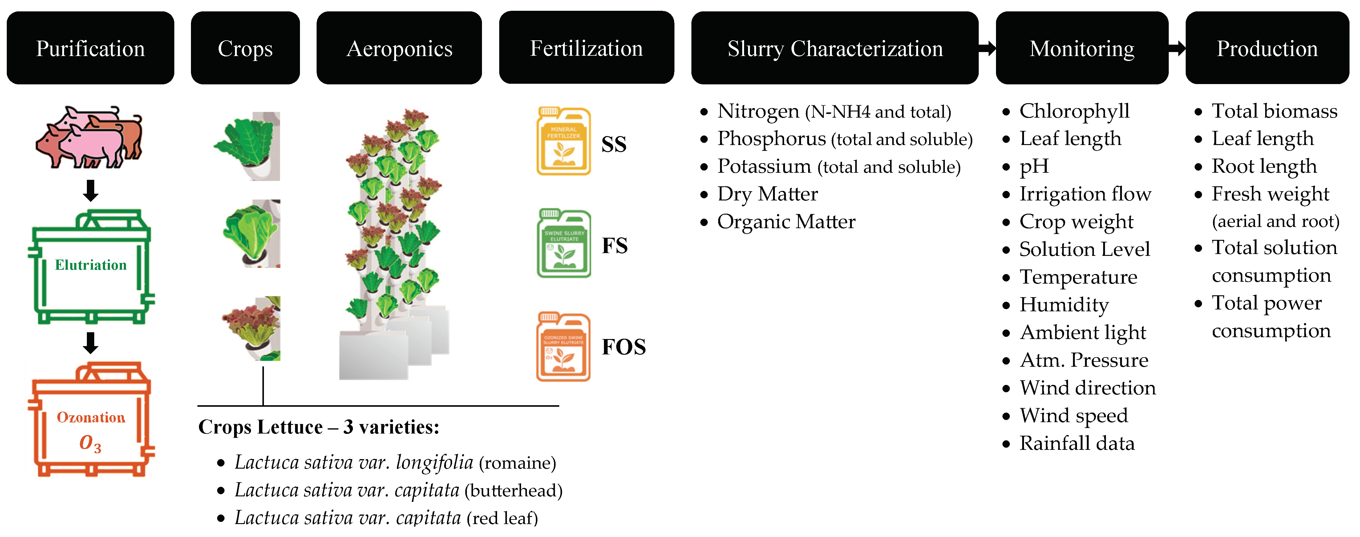 Preprints 196494 g001
