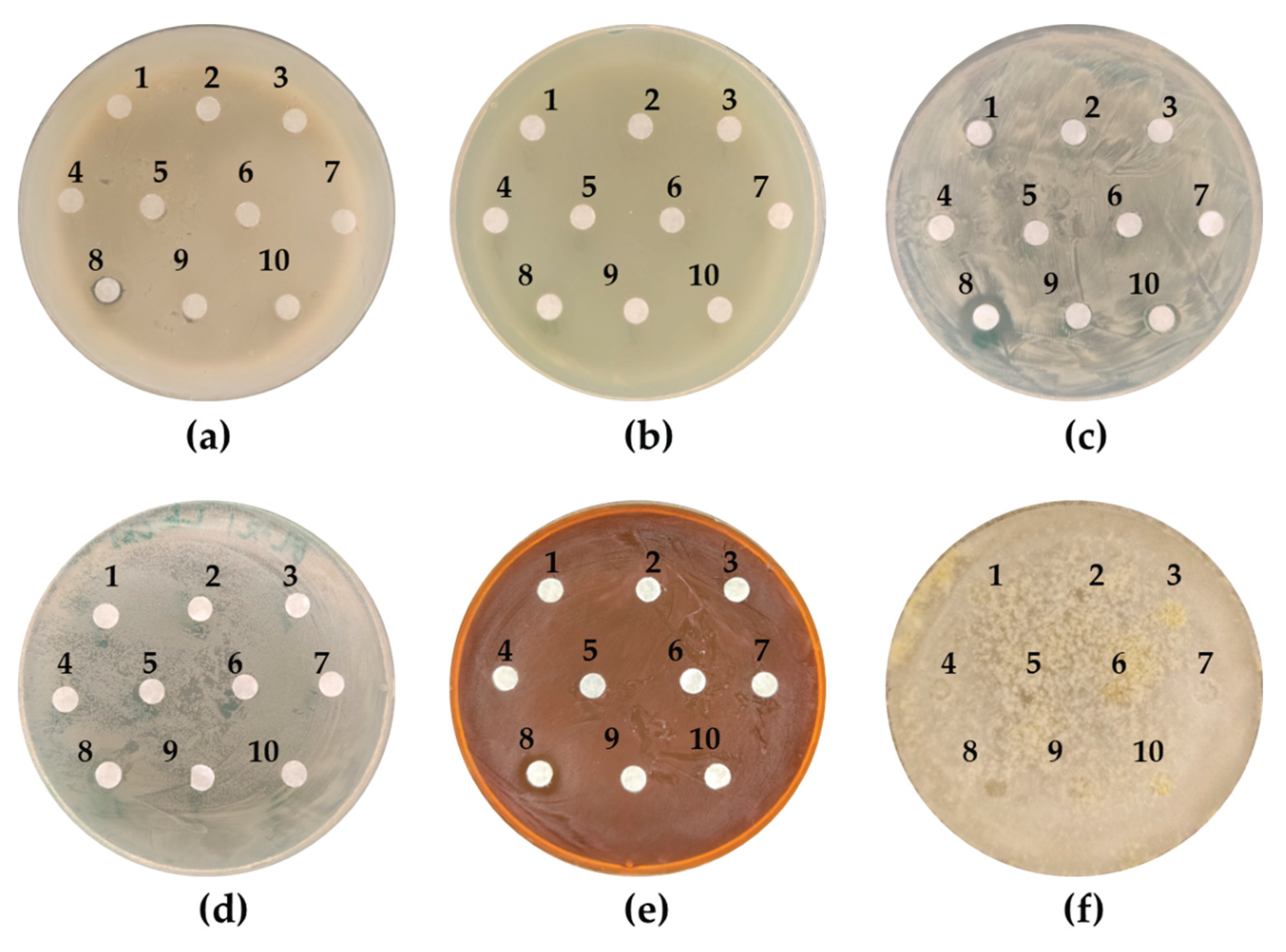Preprints 192660 g002