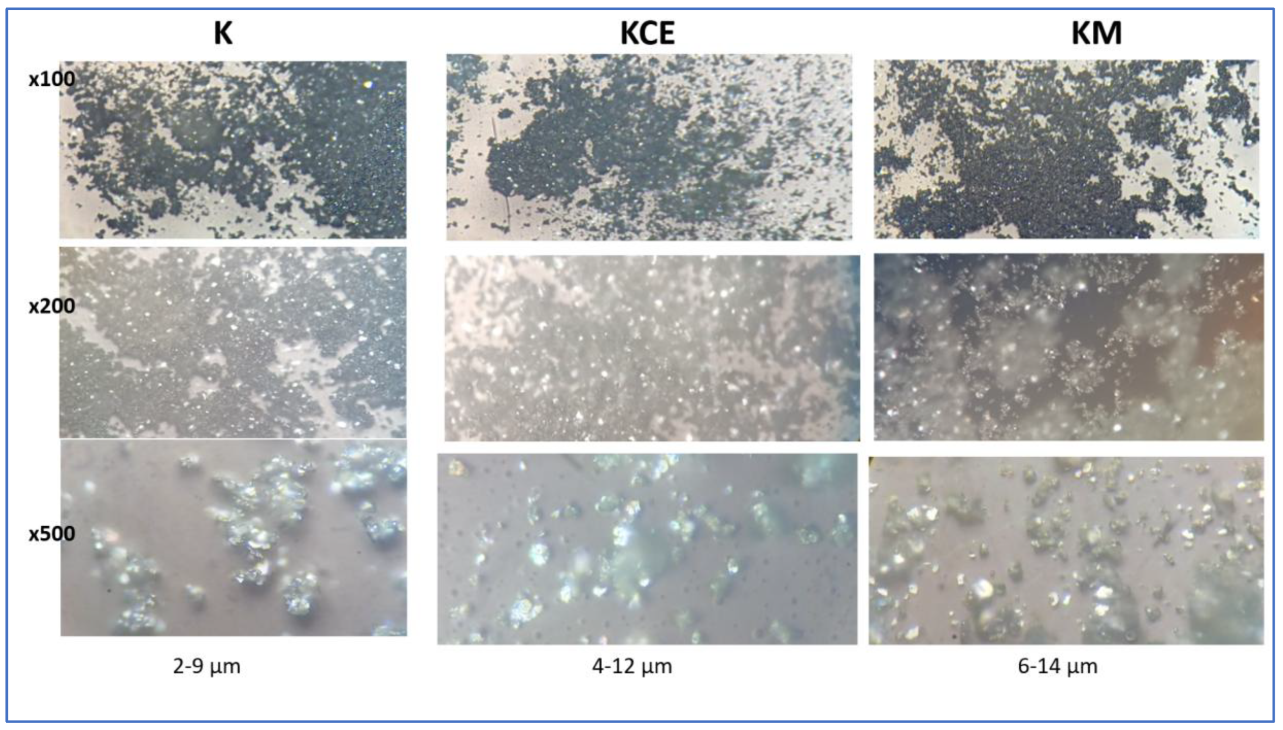 Preprints 150445 g004