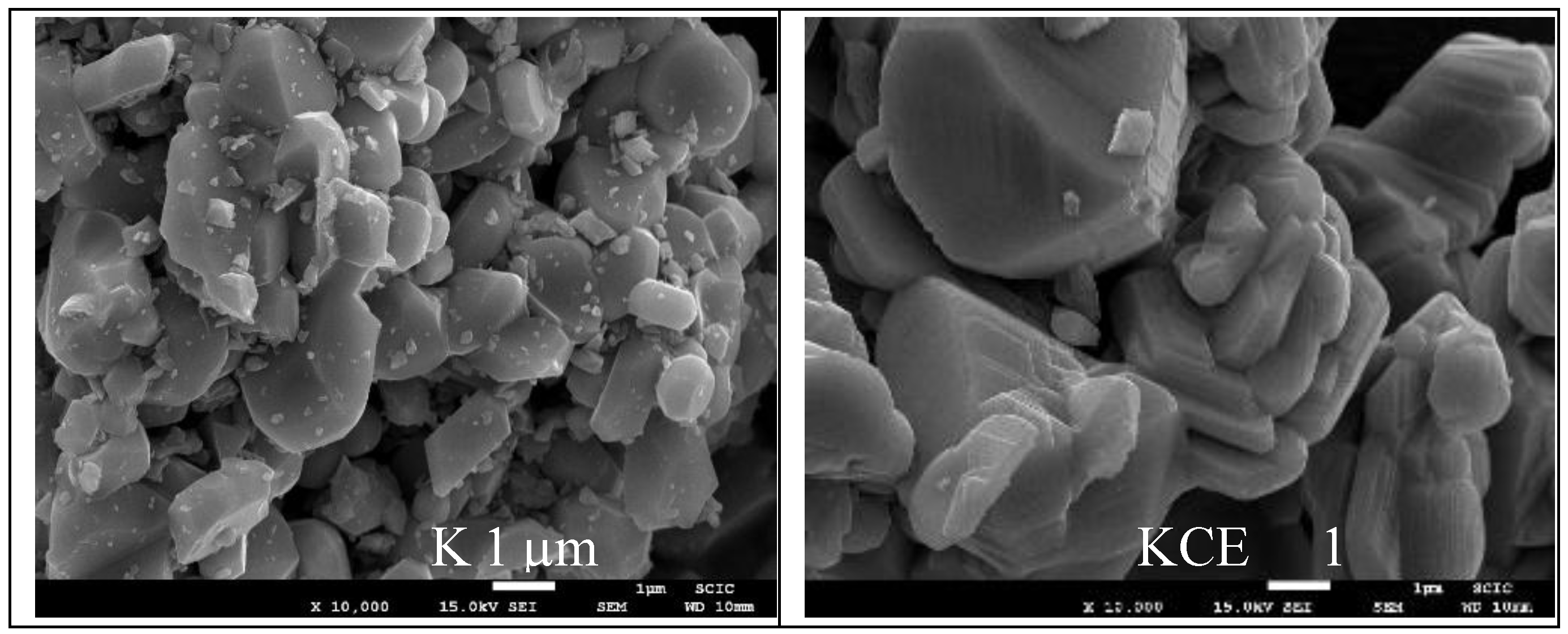 Preprints 150445 g005