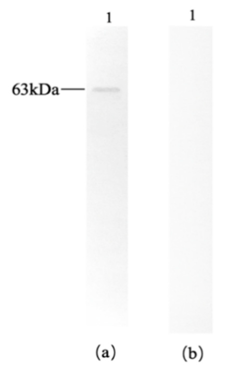 Preprints 191469 g002