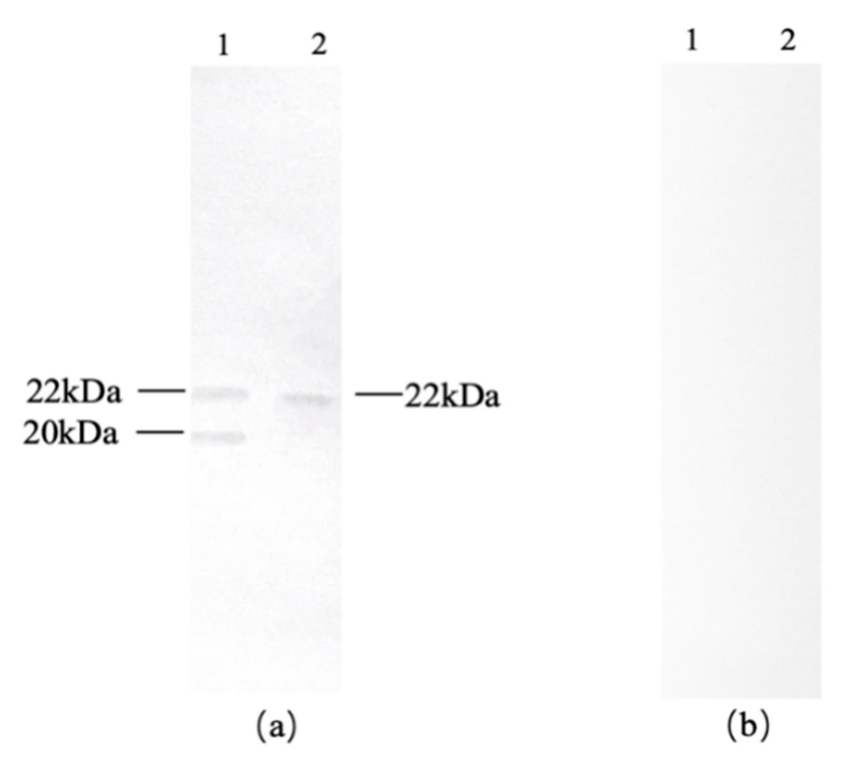 Preprints 191469 g004