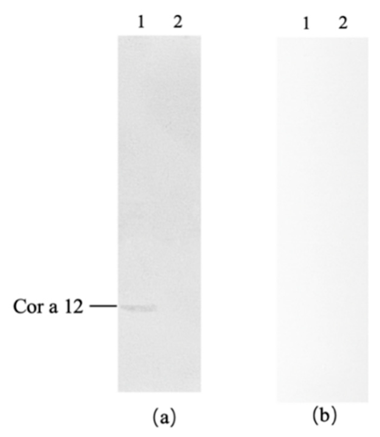 Preprints 191469 g005