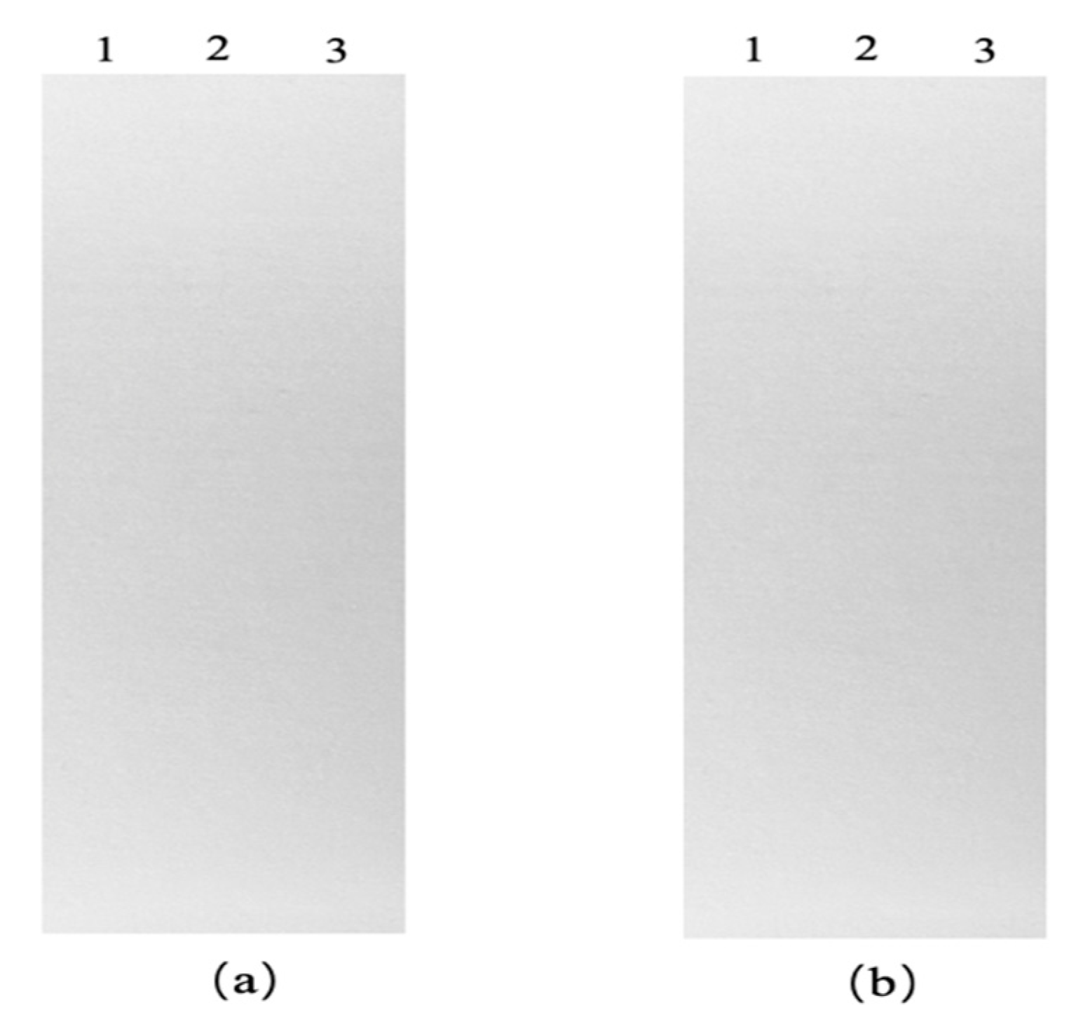Preprints 191469 g006