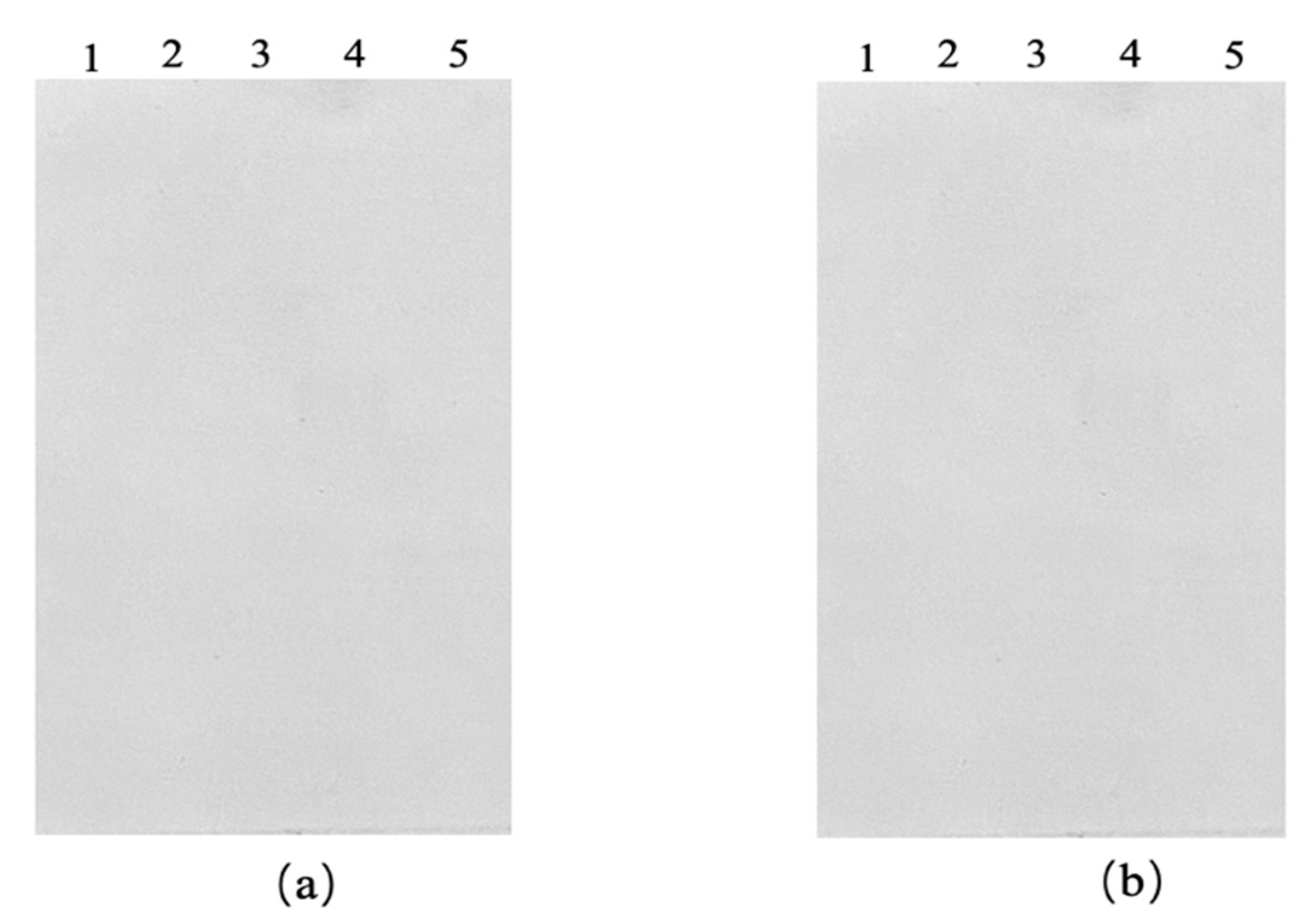 Preprints 191469 g007