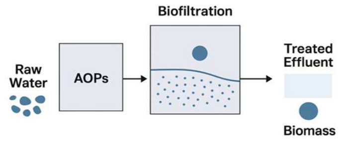 Preprints 218995 g003