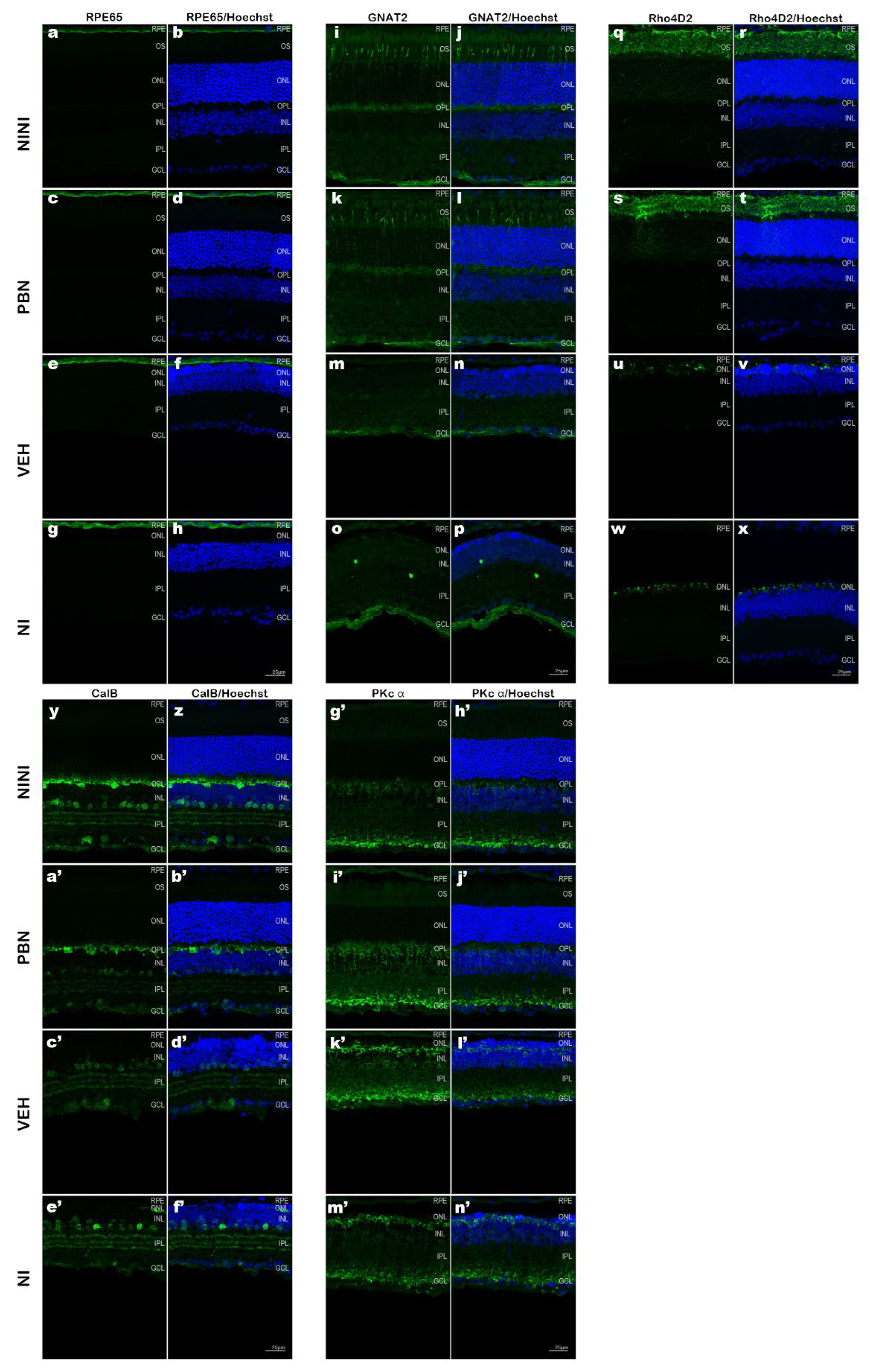 Preprints 185641 g003