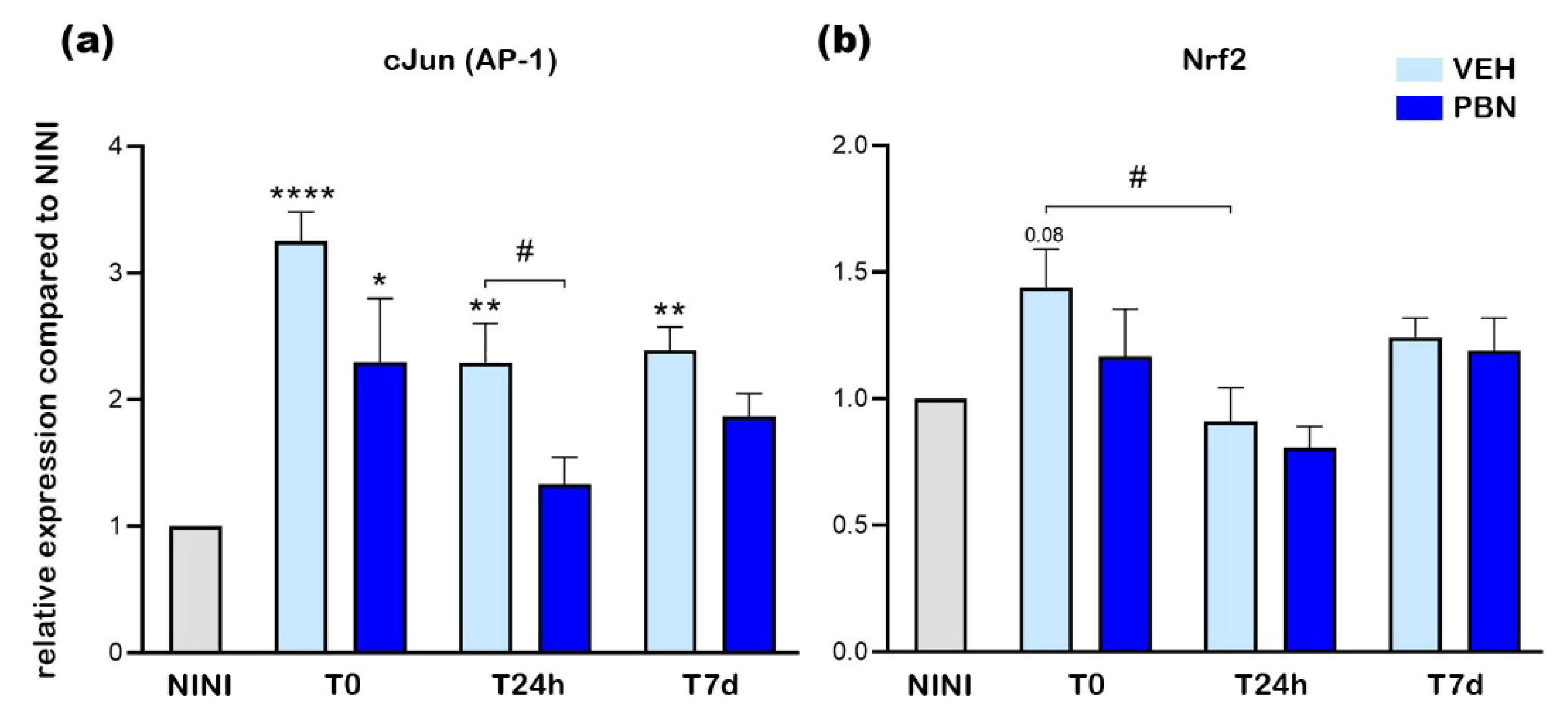 Preprints 185641 g004